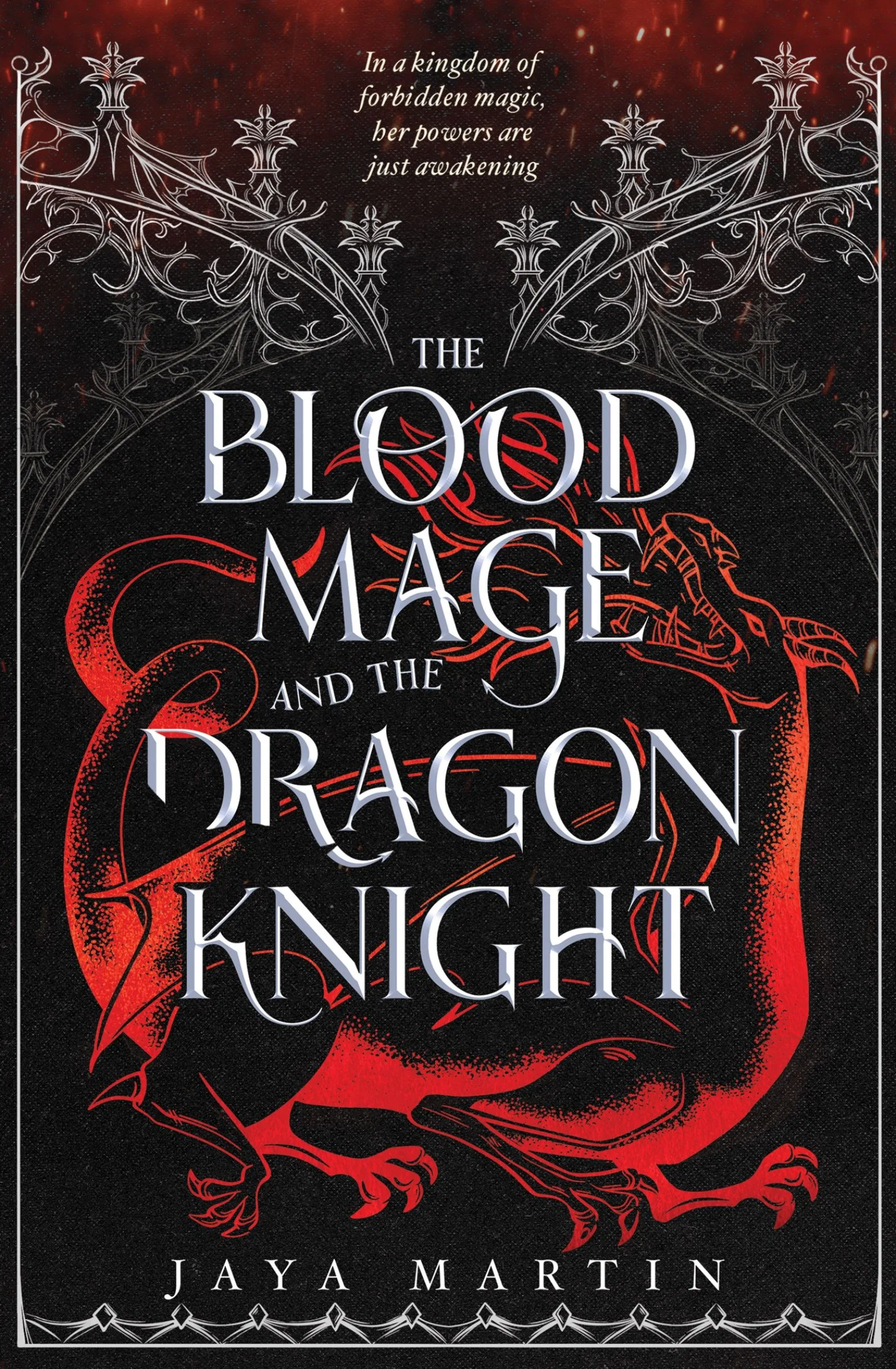 The Blood Mage and the Dragon Knight (The Lone Wolf, Book 1) - Image 2