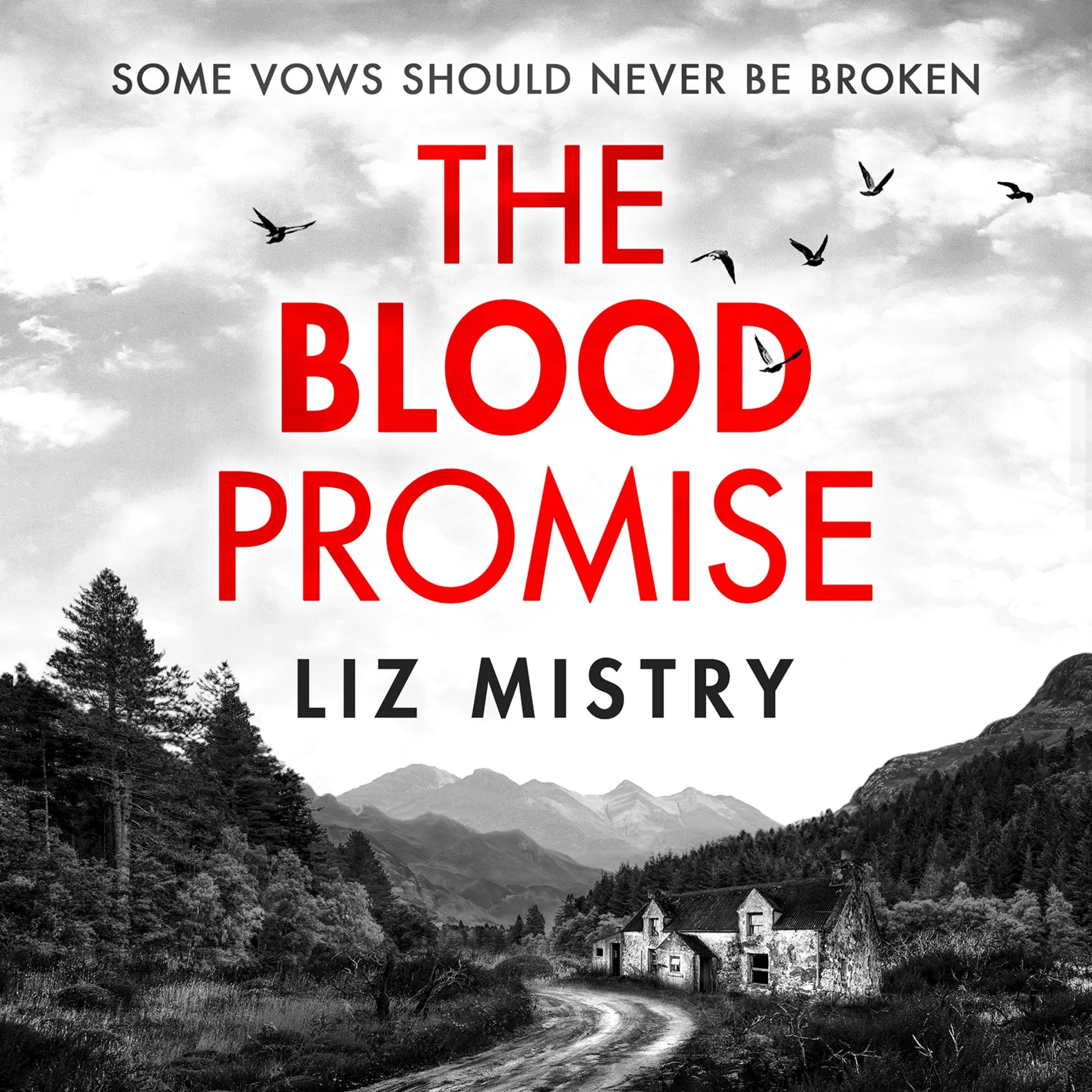 The Blood Promise (The Solanki and McQueen Crime Series, Book 1) - Image 2