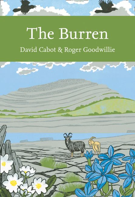 The Burren - Image 2