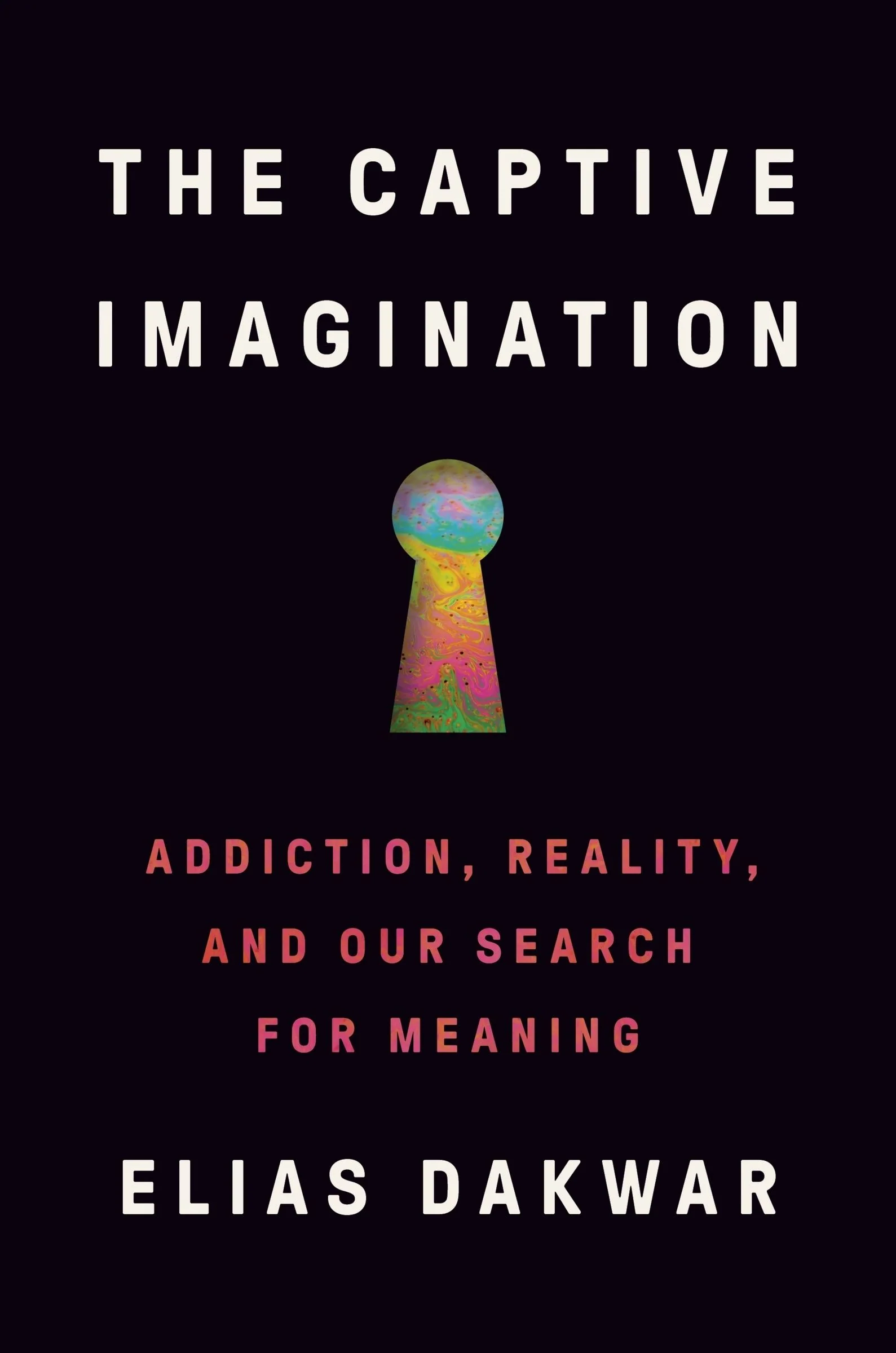The Captive Imagination - Image 3