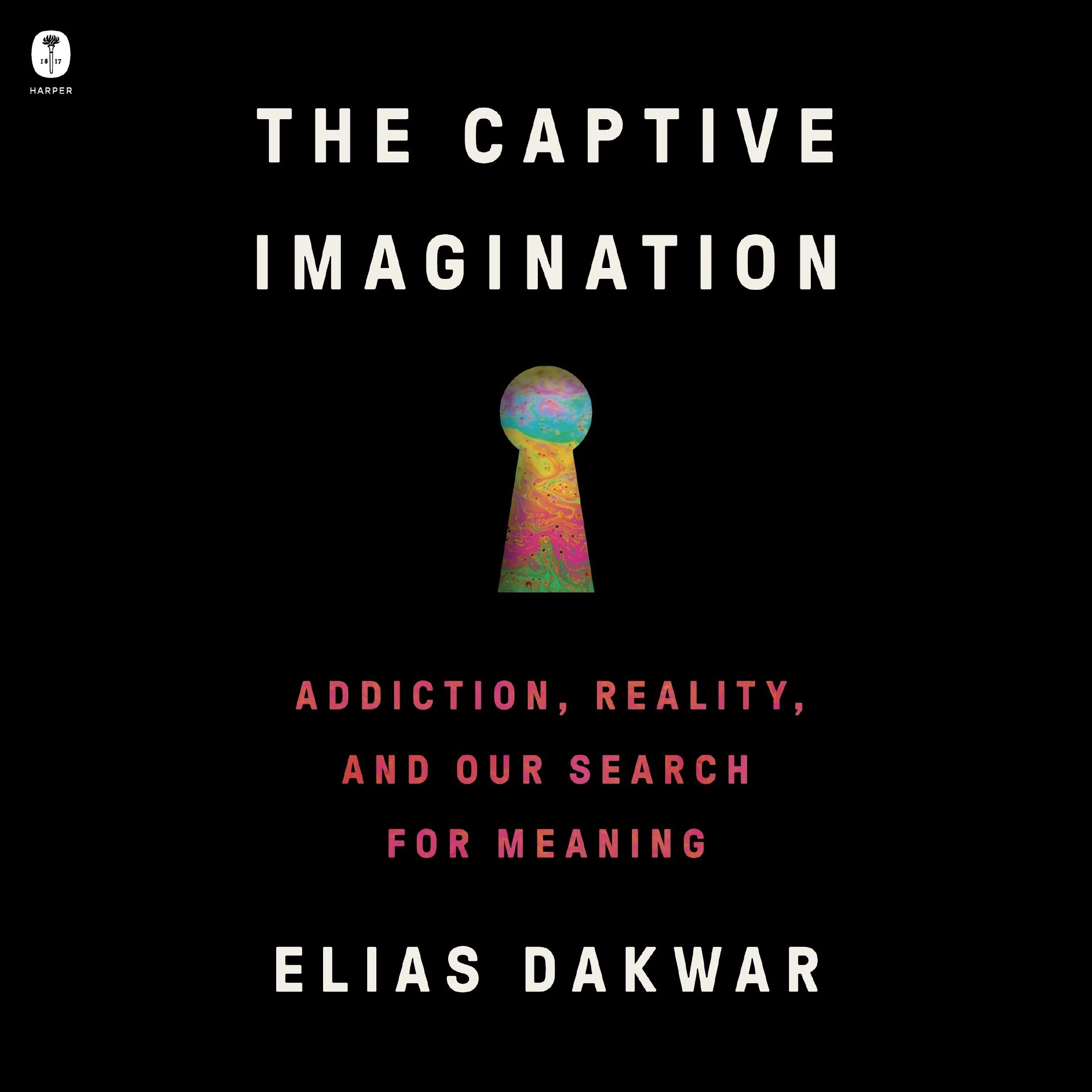 The Captive Imagination - Image 4