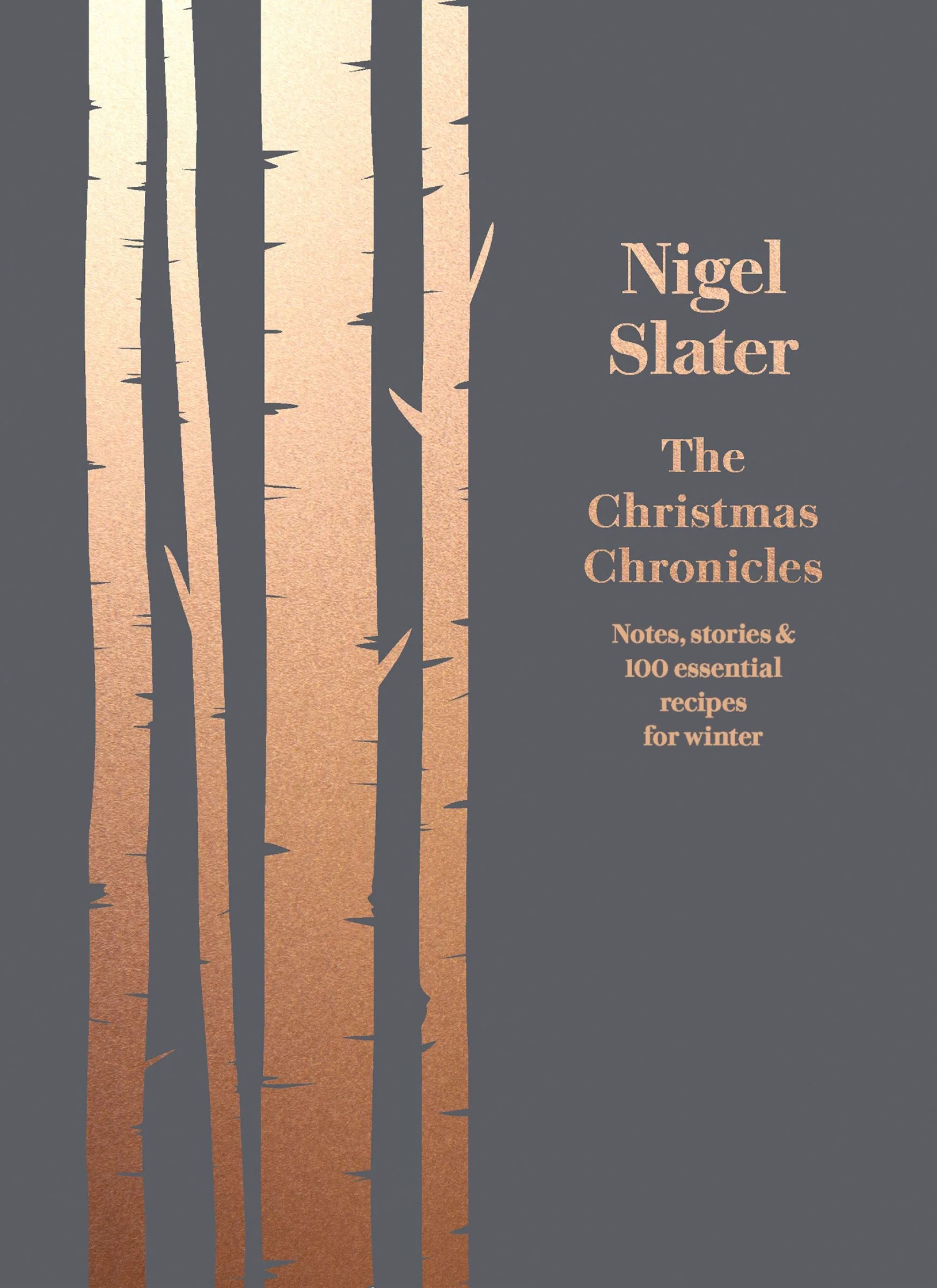 The Christmas Chronicles - Image 2