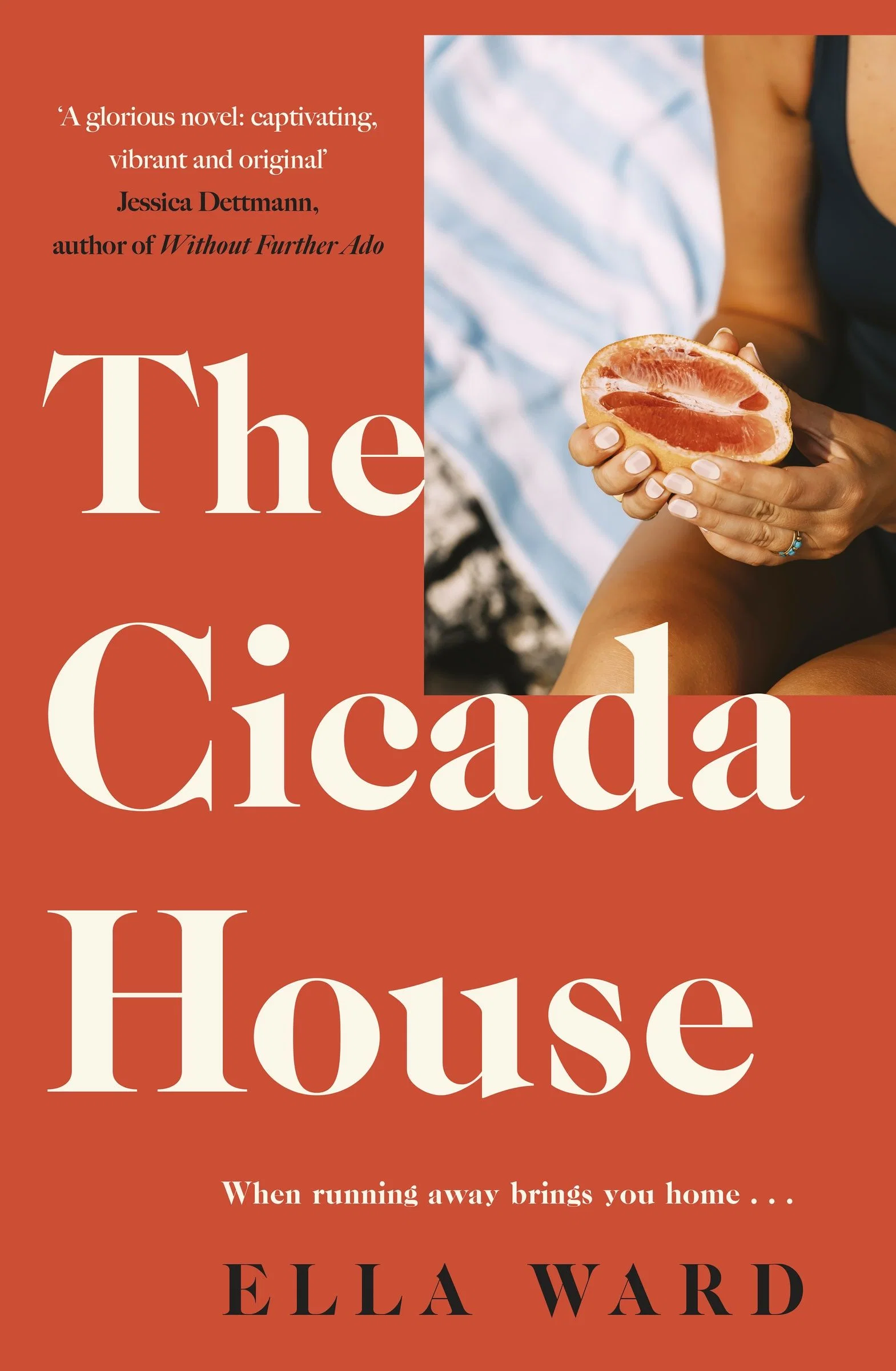 The Cicada House: A heartfelt and feel-good time-travelling love story and debut novel, perfect for readers of Dolly Alderton, Sally Hepworth and Mhairi McFarlane - Image 2