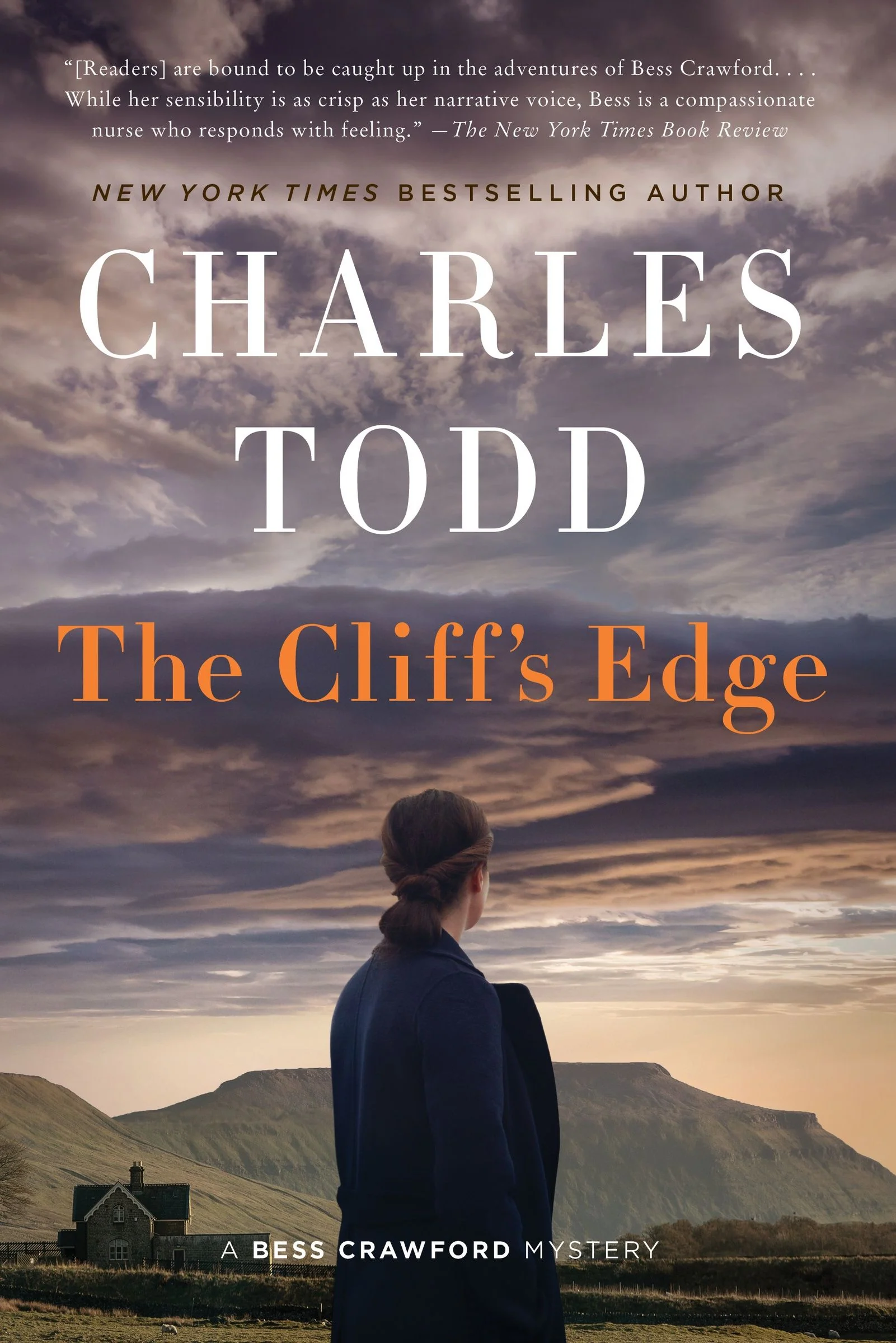 The Cliff's Edge - Image 4