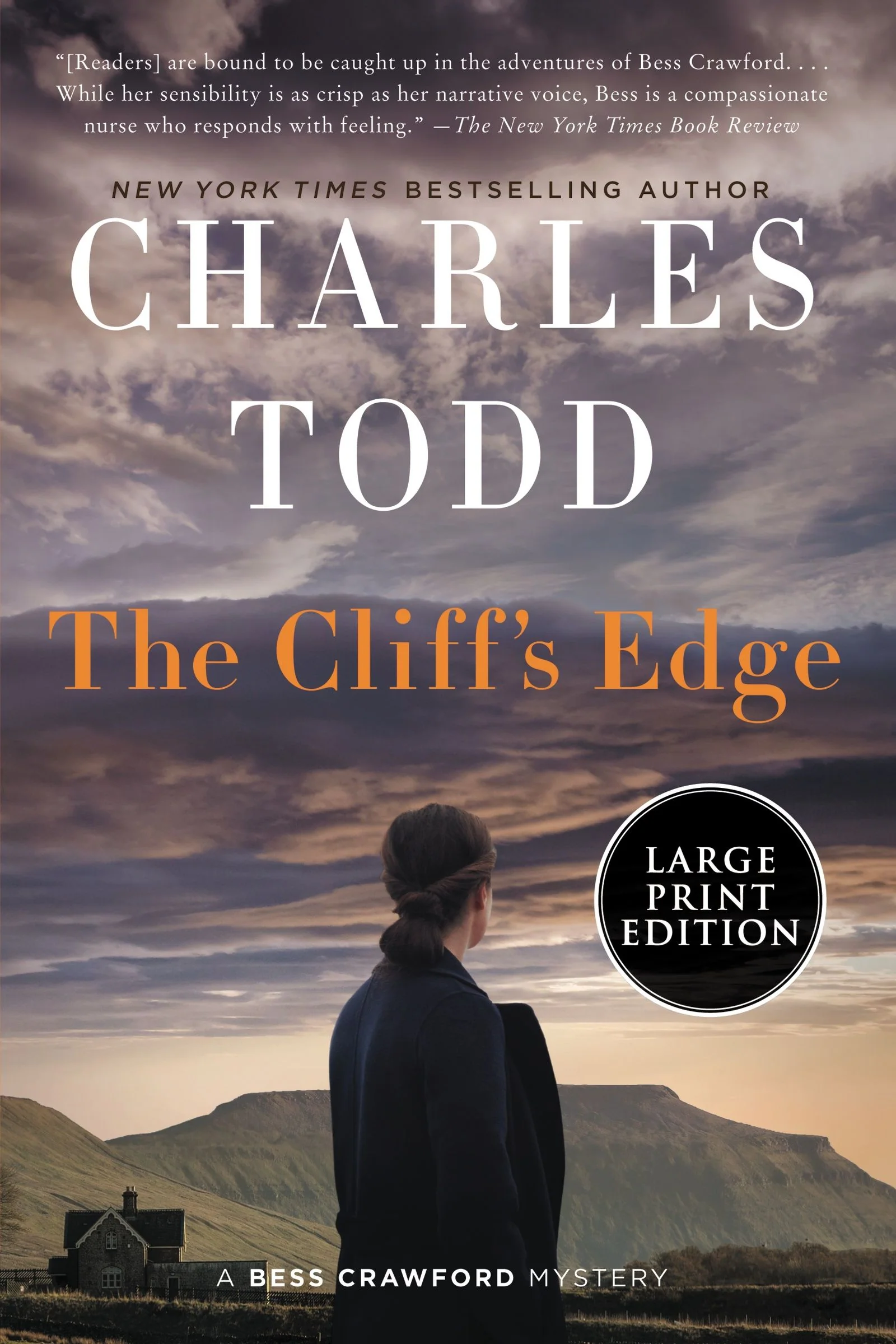 The Cliff's Edge - Image 5