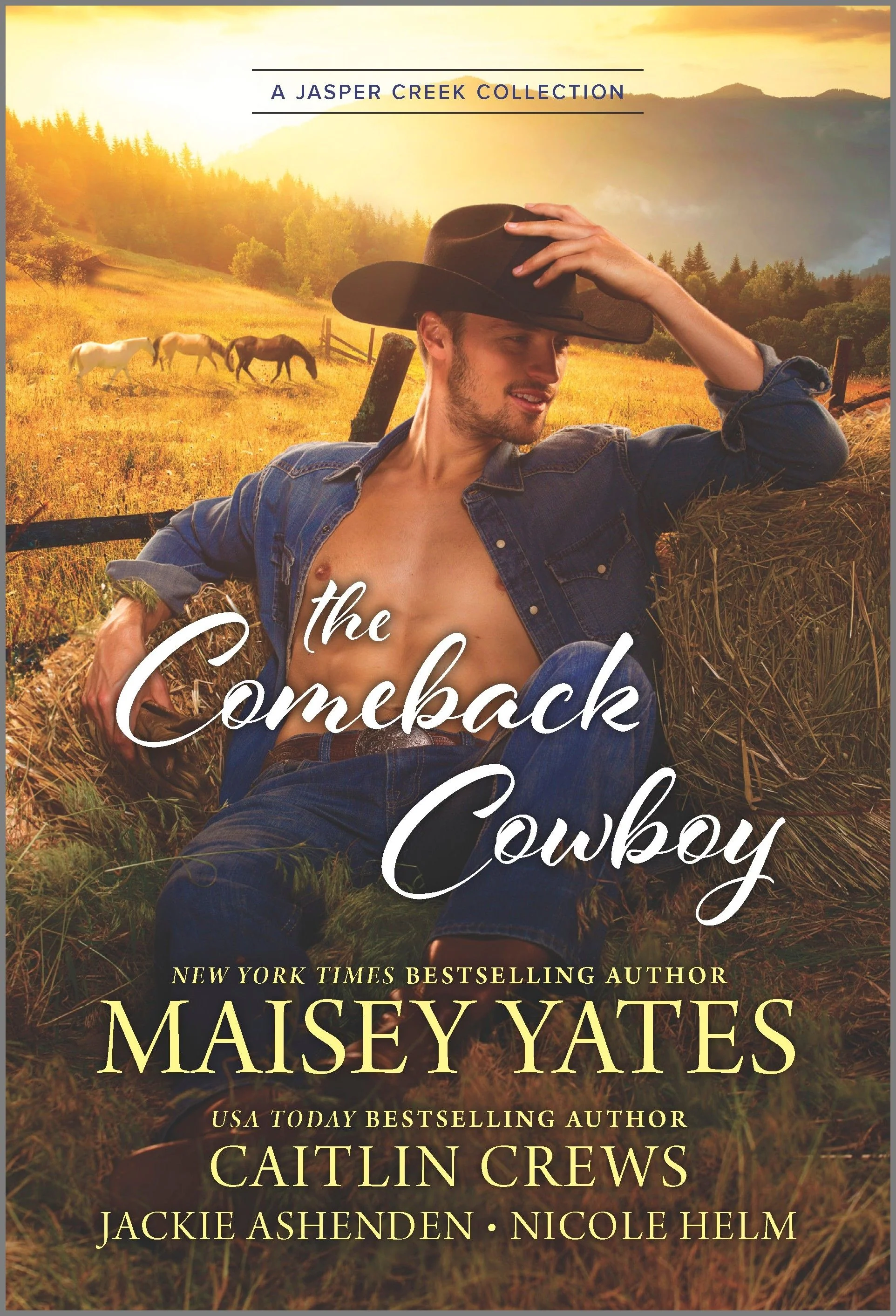 The Comeback Cowboy - Image 3