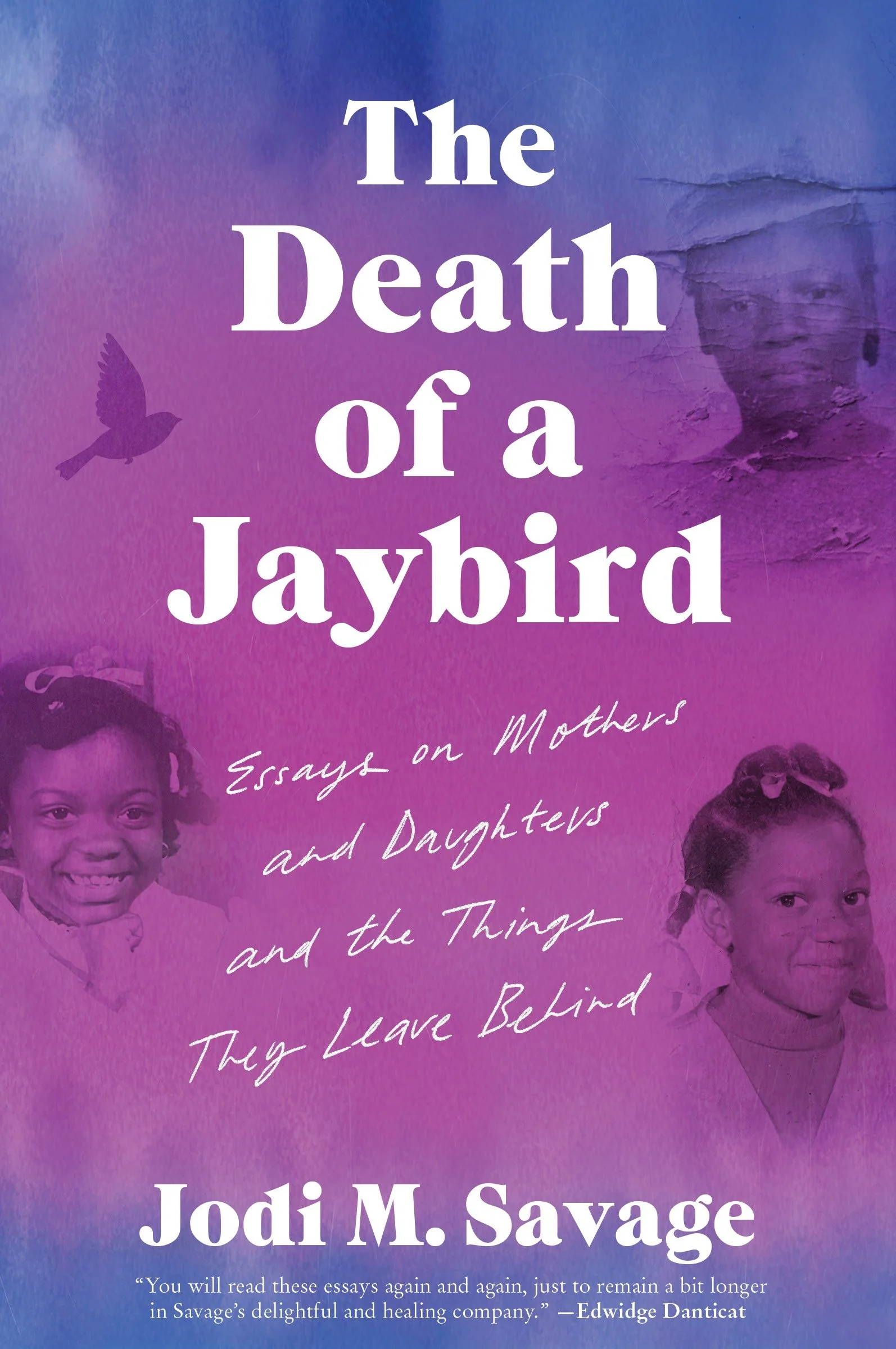 The Death of a Jaybird - Image 3