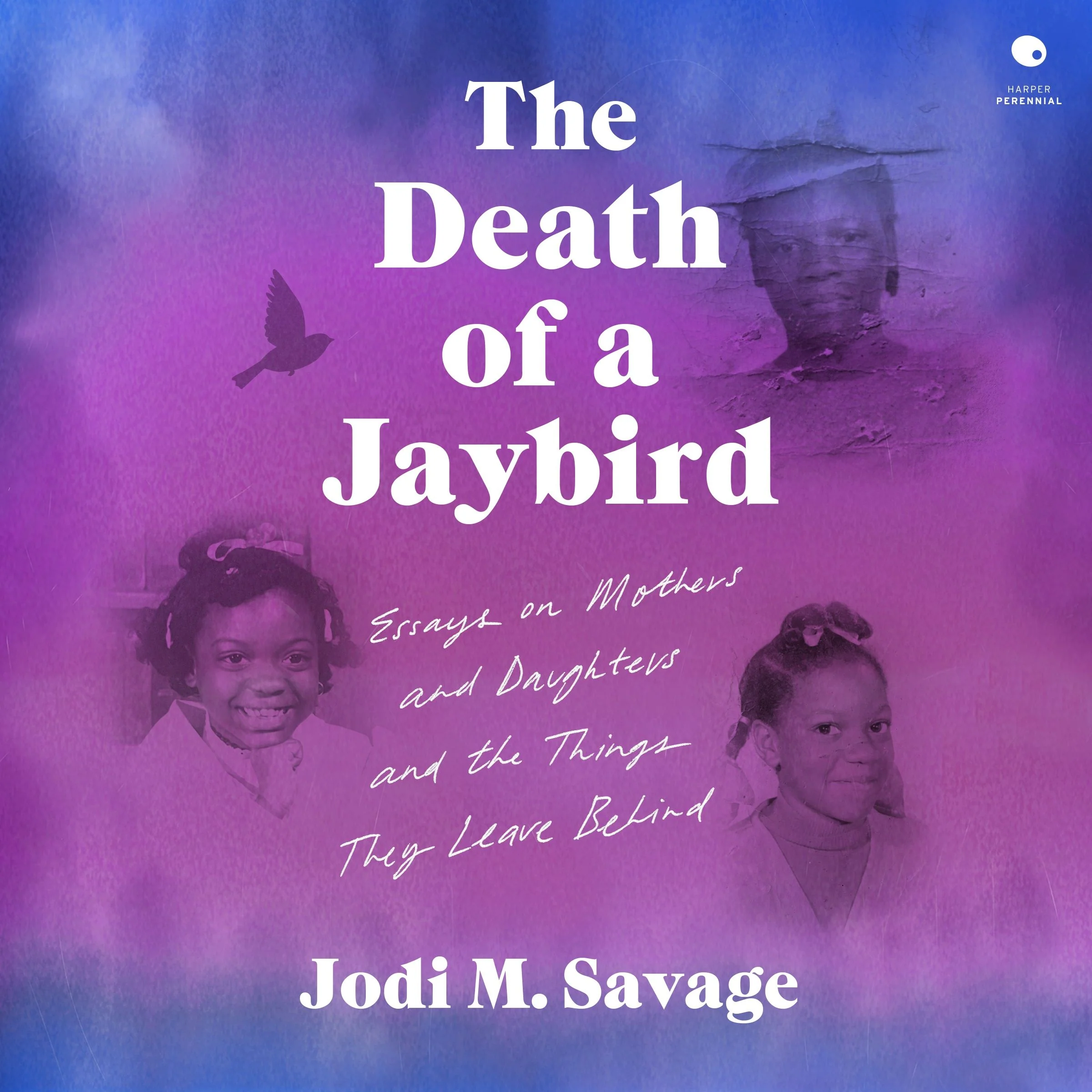 The Death of a Jaybird - Image 4