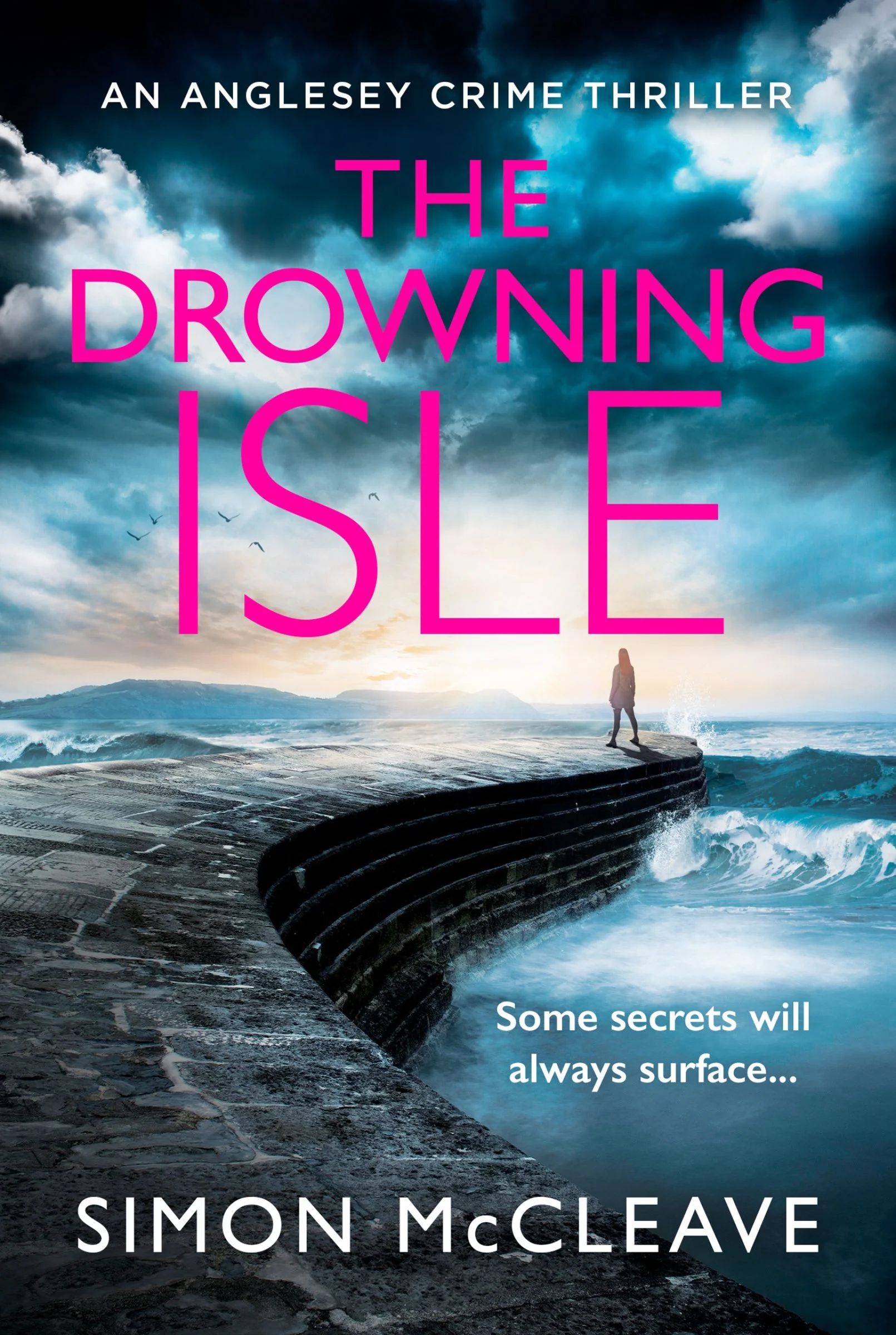 The Drowning Isle (The Anglesey Series, Book 4) - Image 2