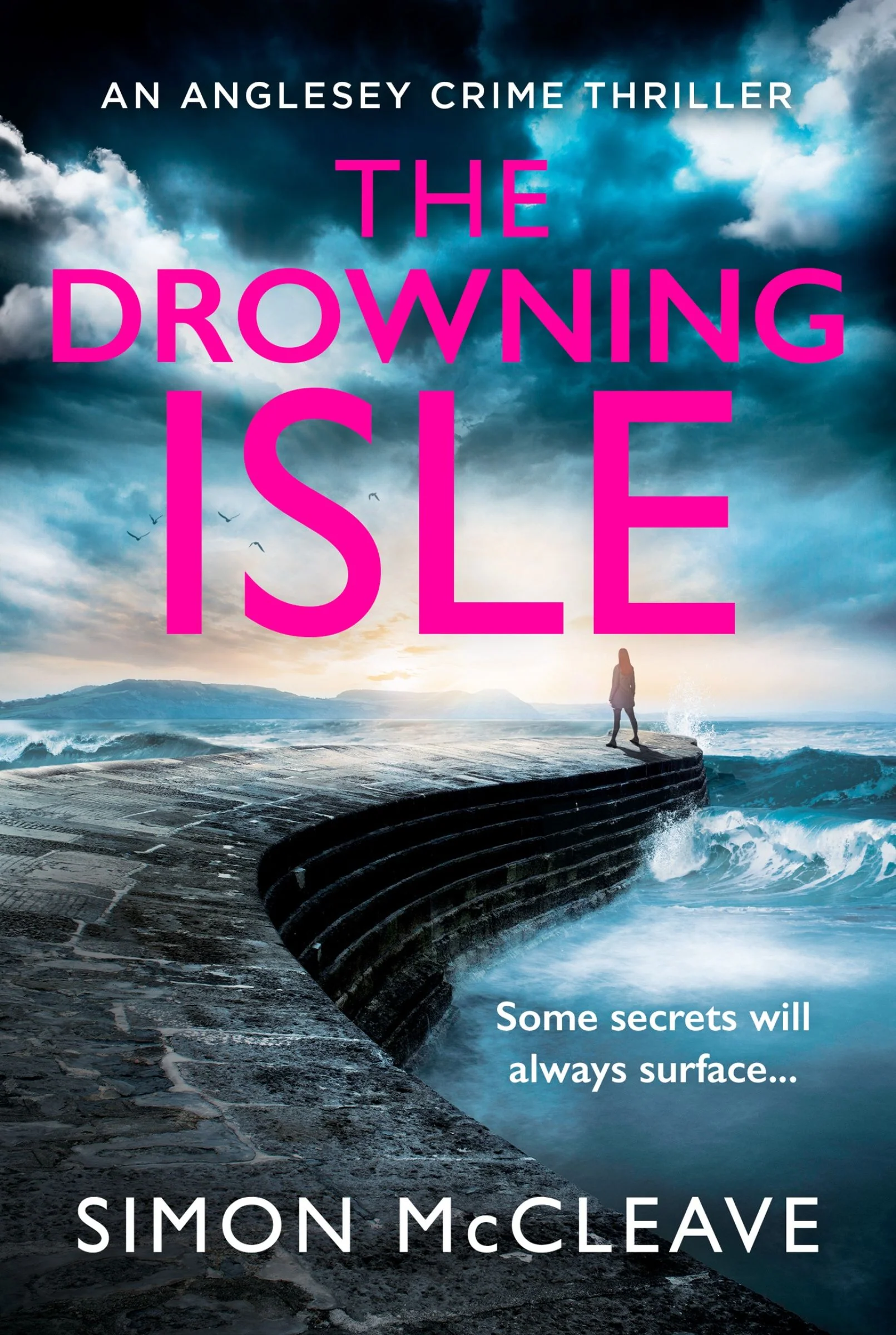 The Drowning Isle (The Anglesey Series, Book 4) - Image 3