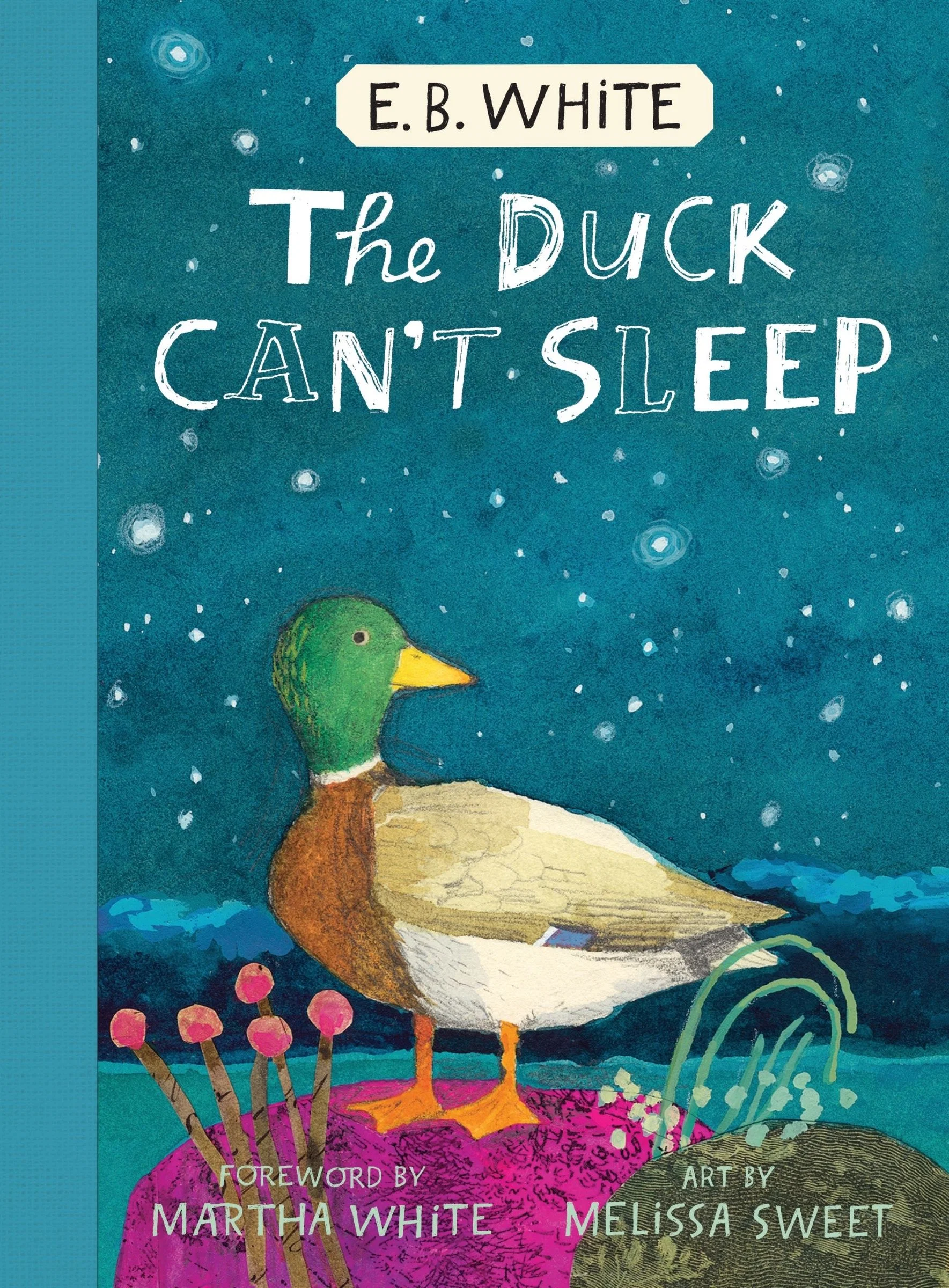 The Duck Can't Sleep - Image 4