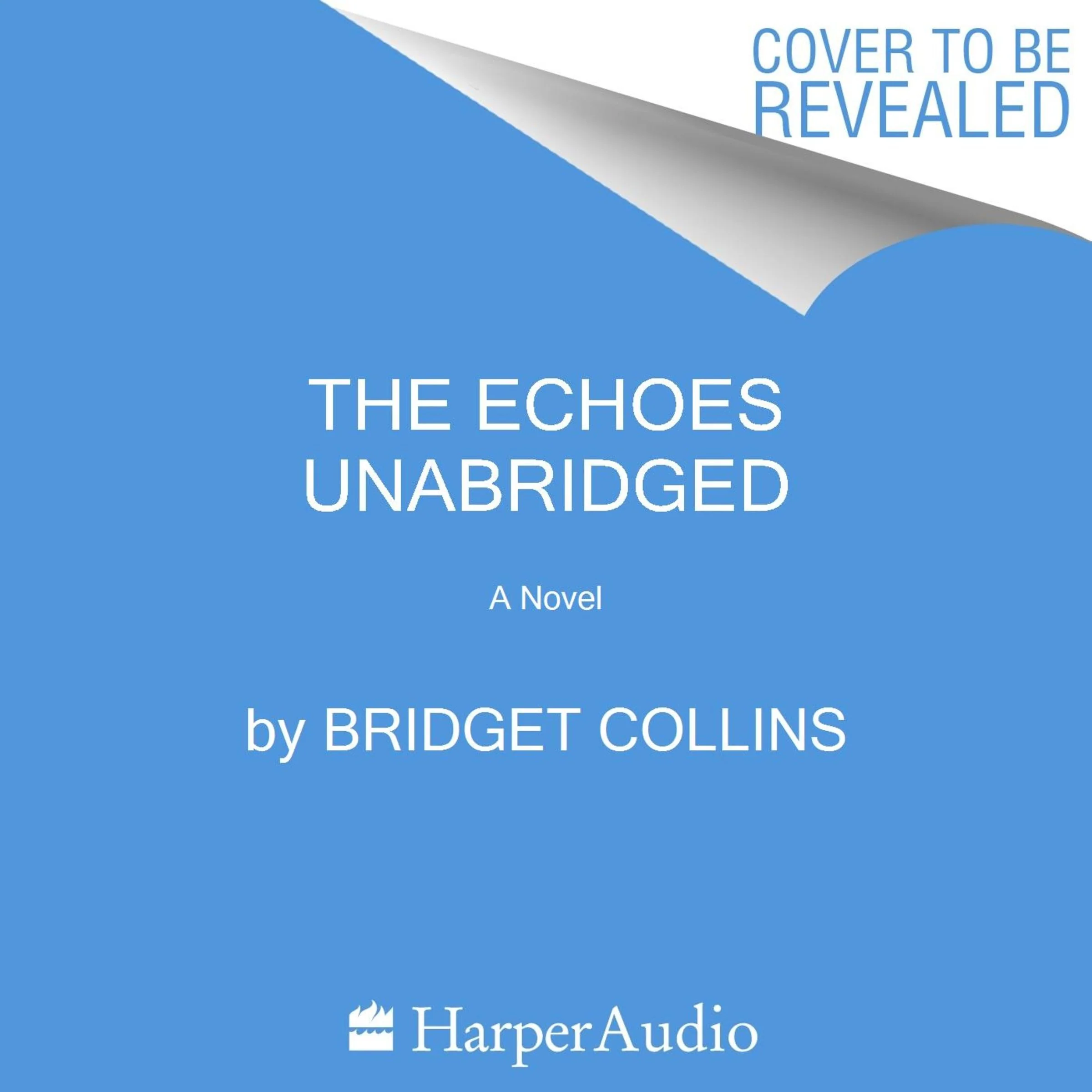 The Echoes - Image 2