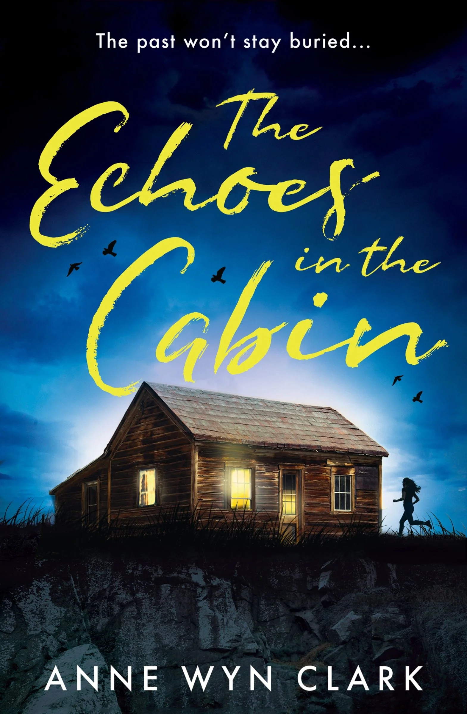 The Echoes in the Cabin - Image 3