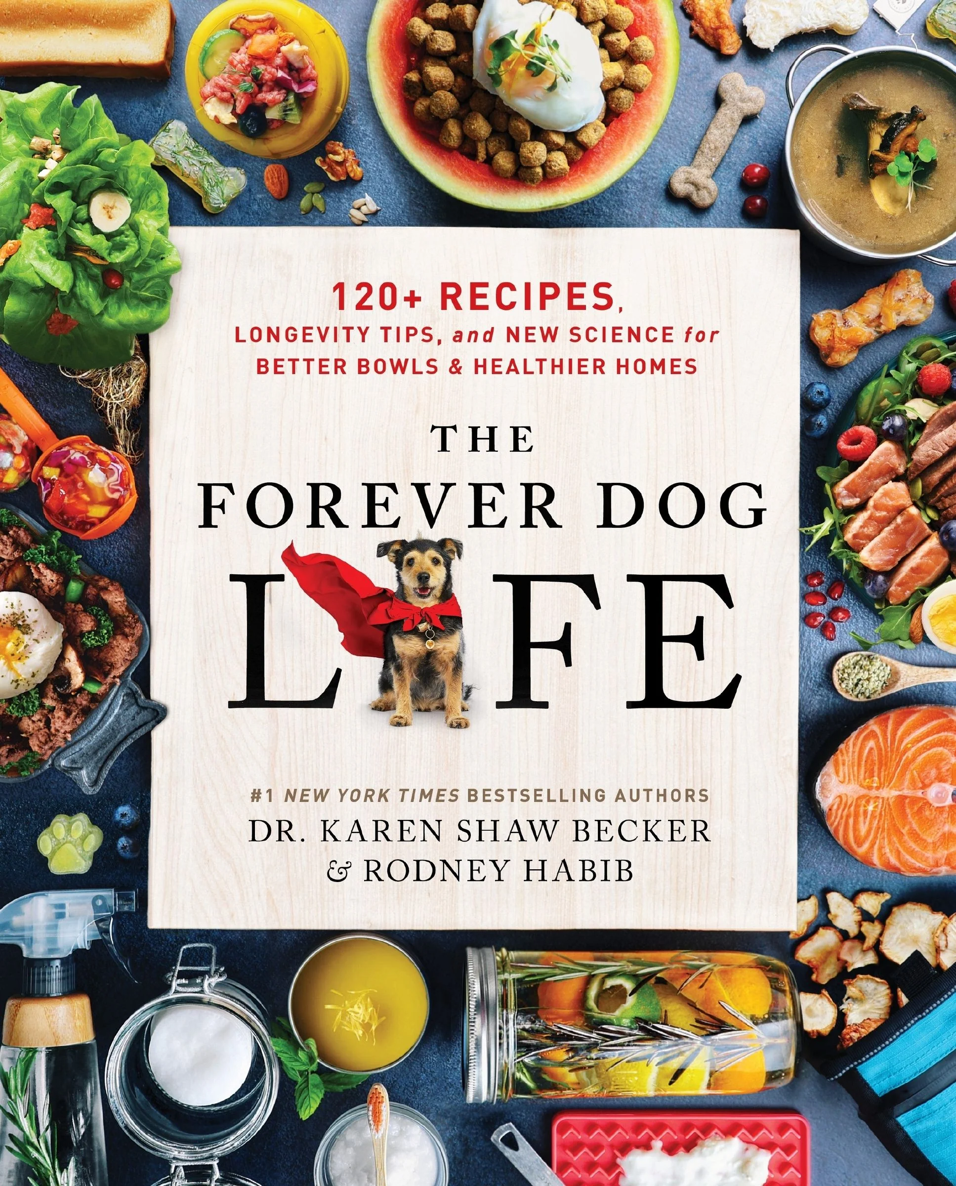 The Forever Dog Life - Image 2