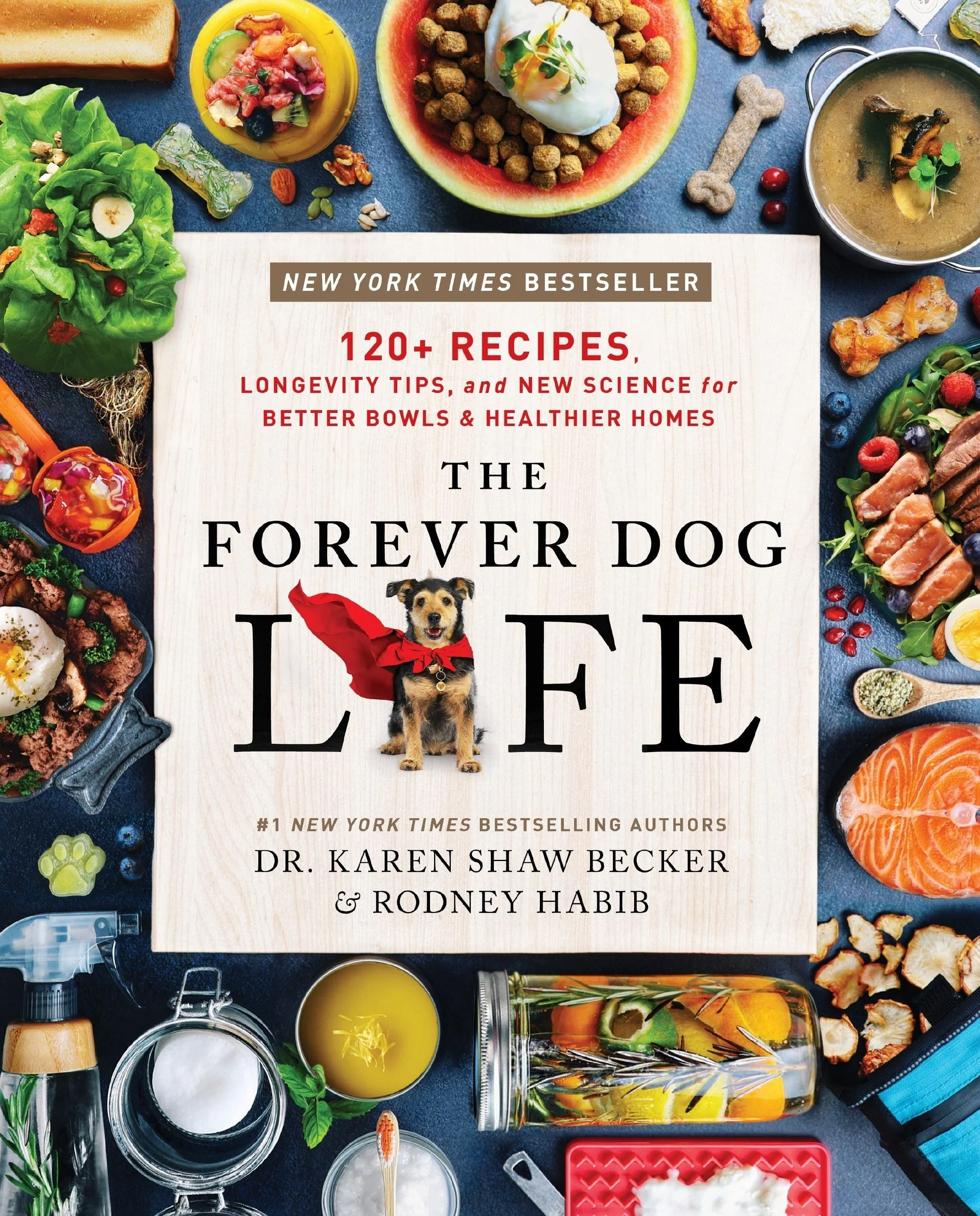 The Forever Dog Life - Image 3