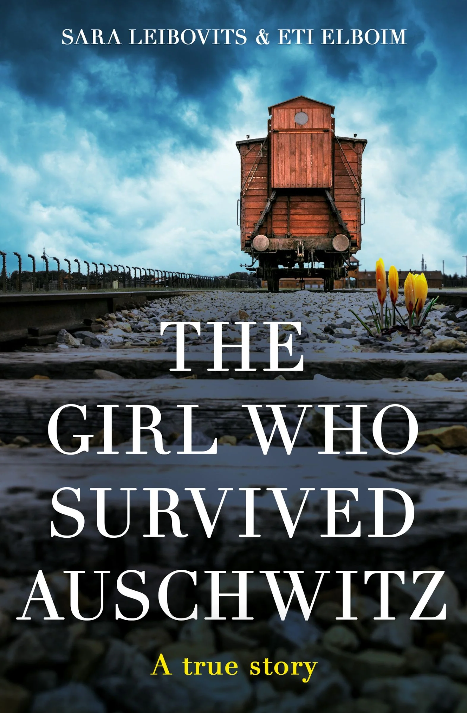 The Girl Who Survived Auschwitz - Image 4