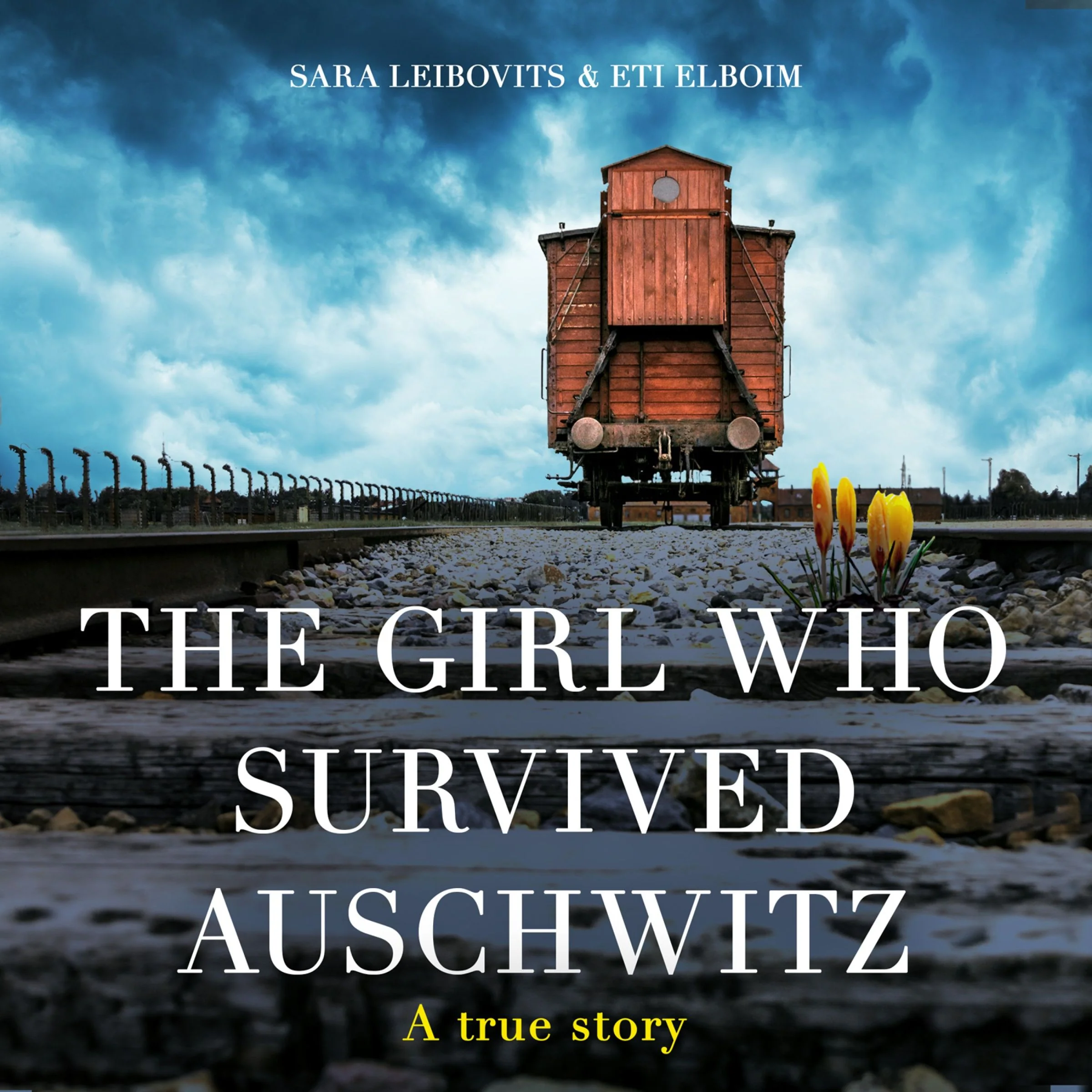 The Girl Who Survived Auschwitz - Image 5