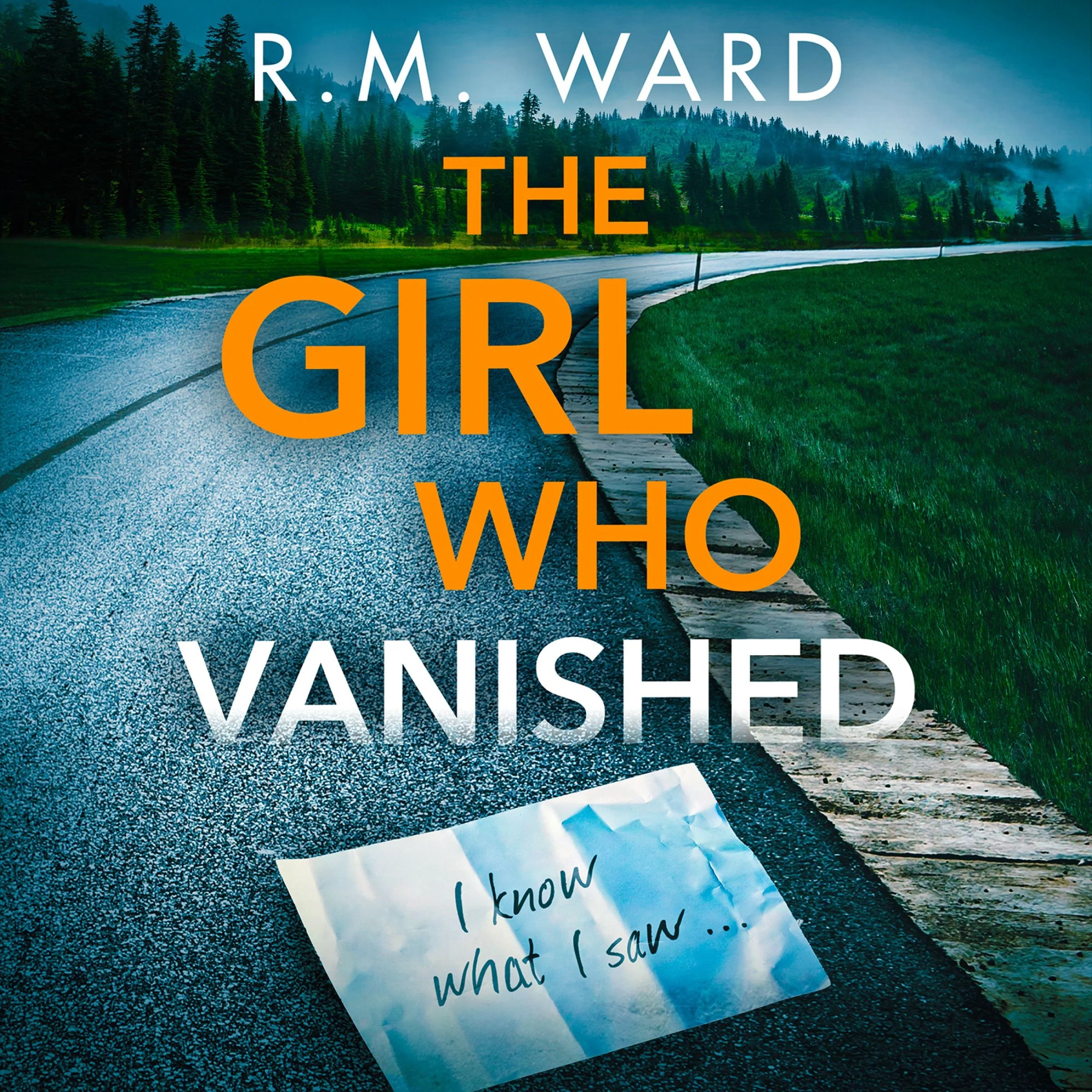The Girl Who Vanished - Image 2