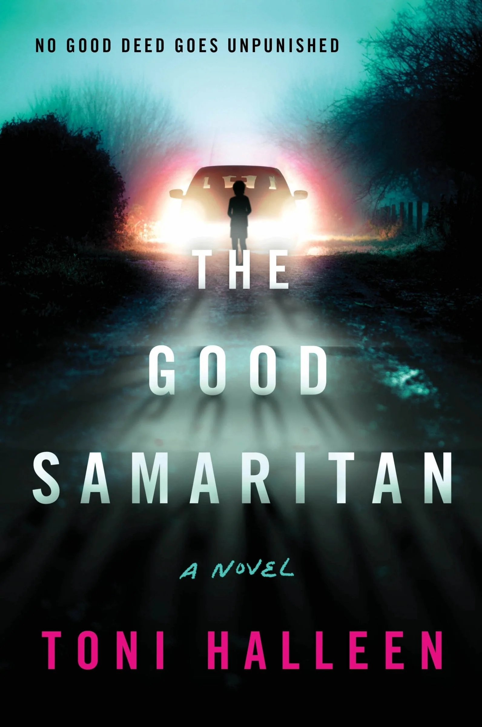 The Good Samaritan - Image 3