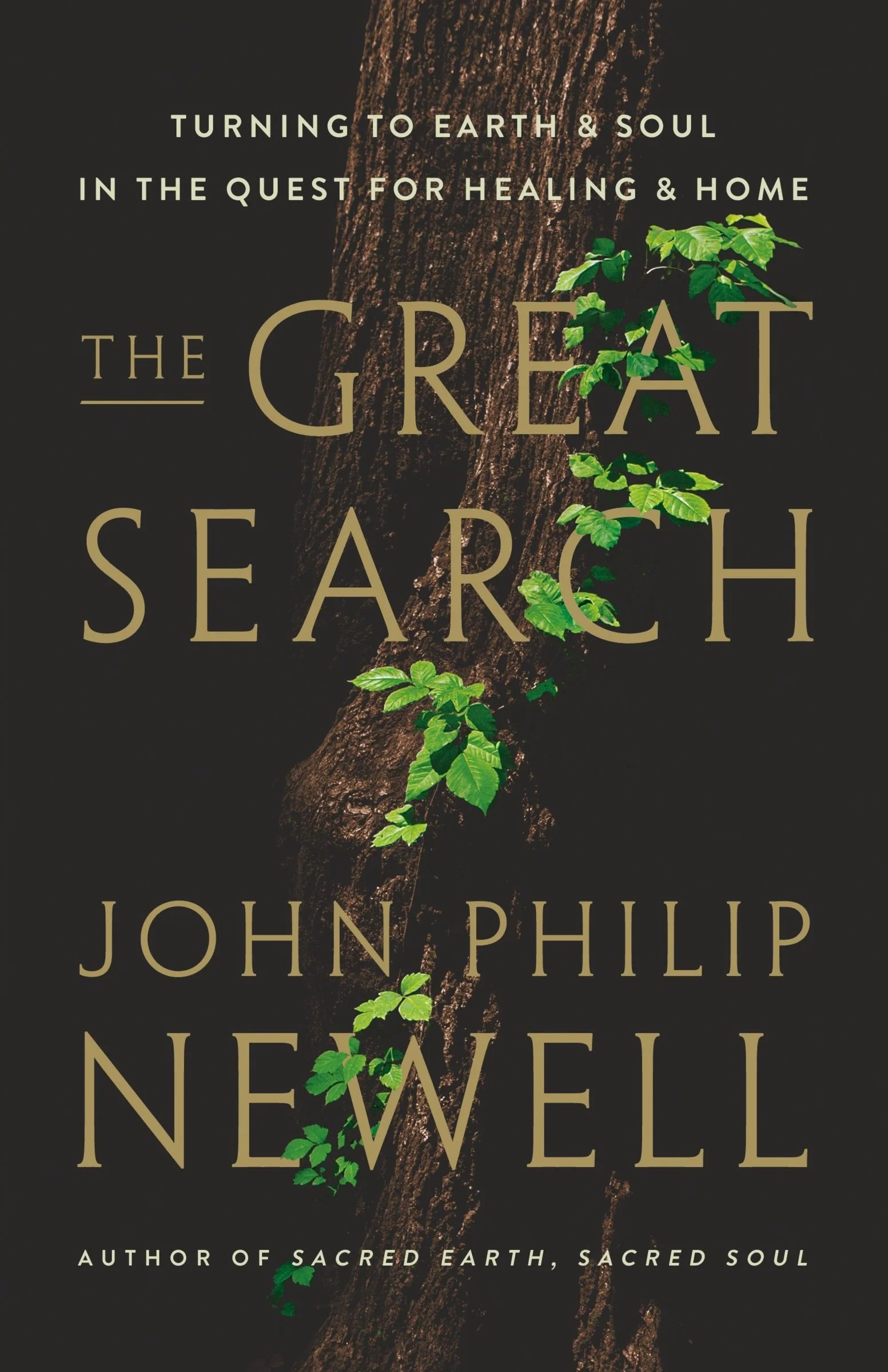 The Great Search - Image 2