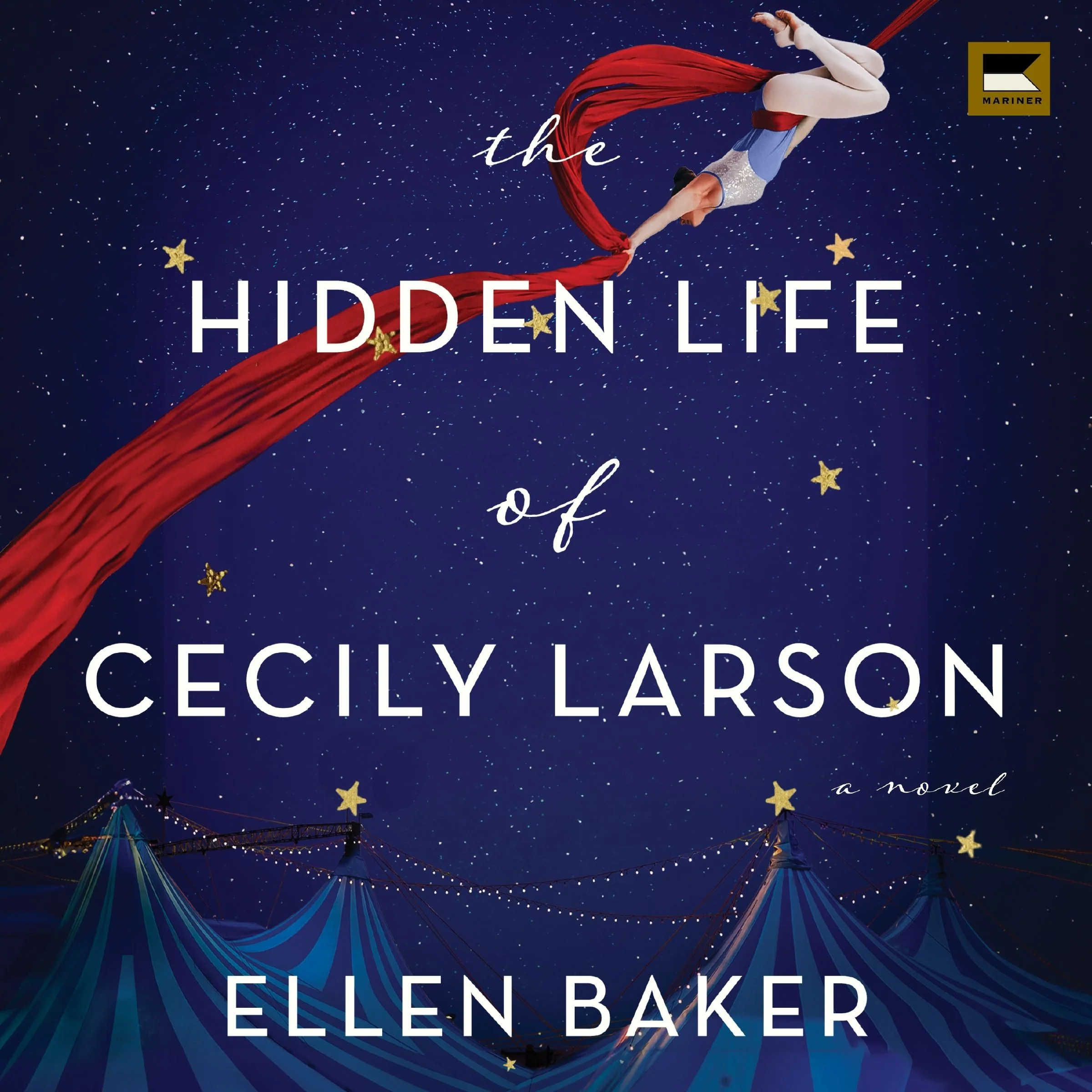 The Hidden Life of Cecily Larson - Image 5