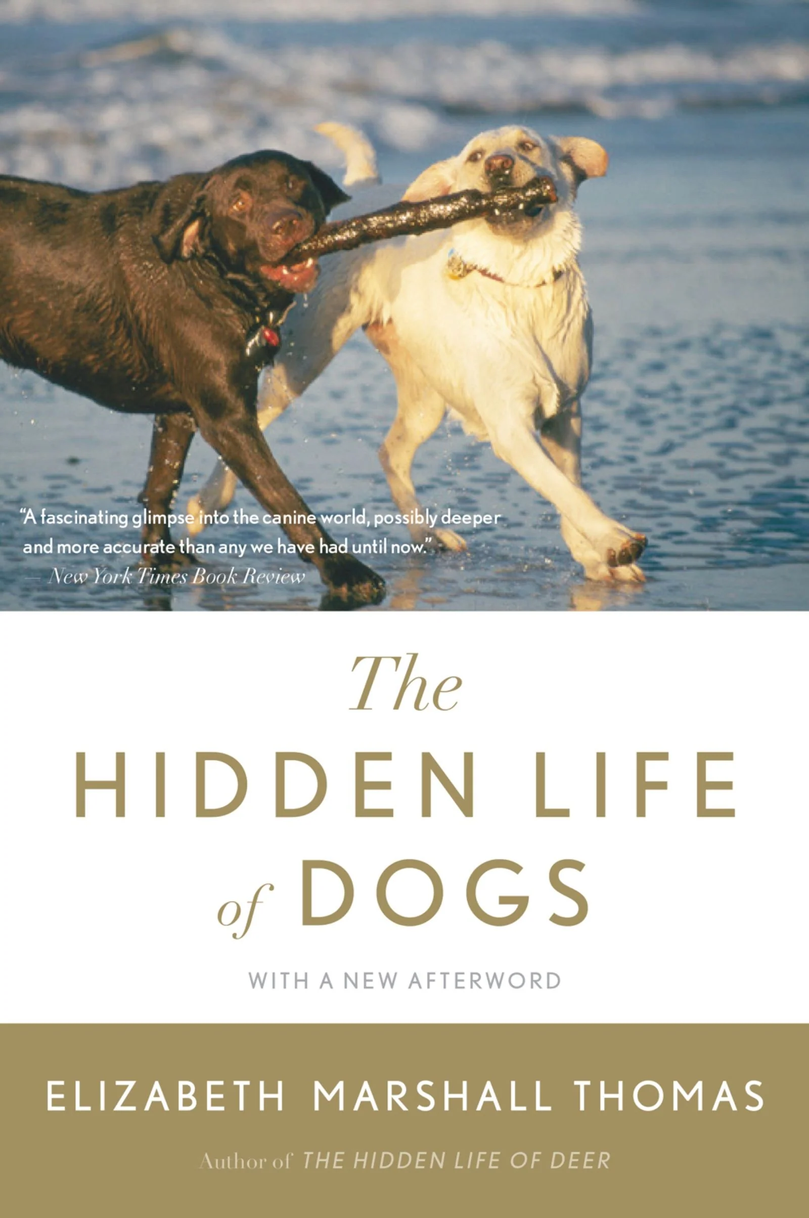 The Hidden Life Of Dogs - Image 2
