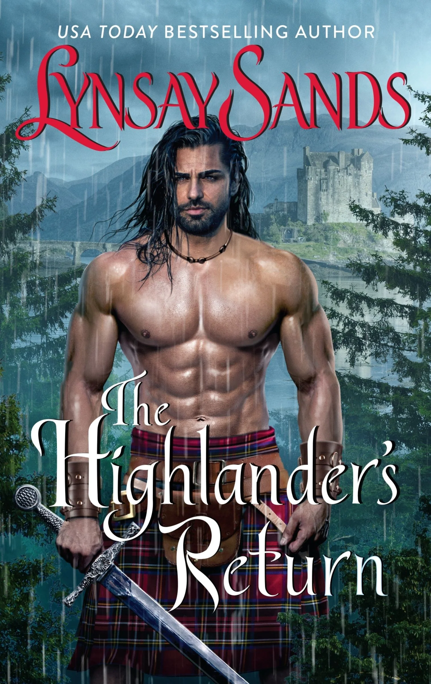 The Highlander's Return - Image 2