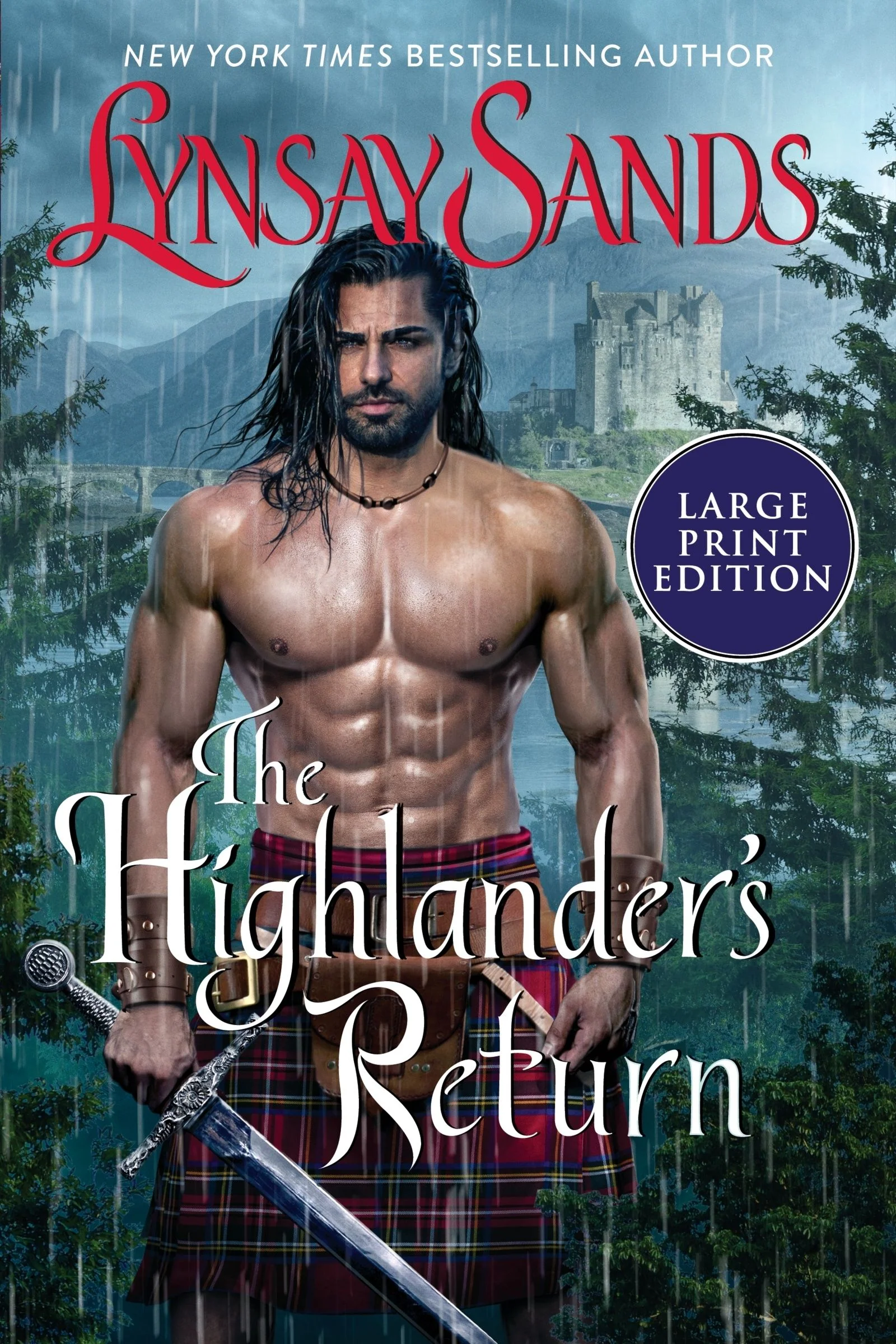 The Highlander's Return - Image 3