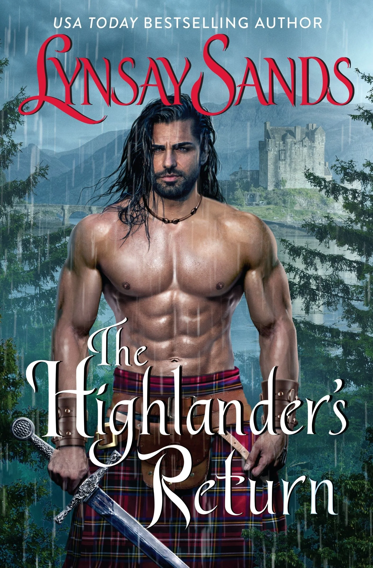 The Highlander's Return - Image 5