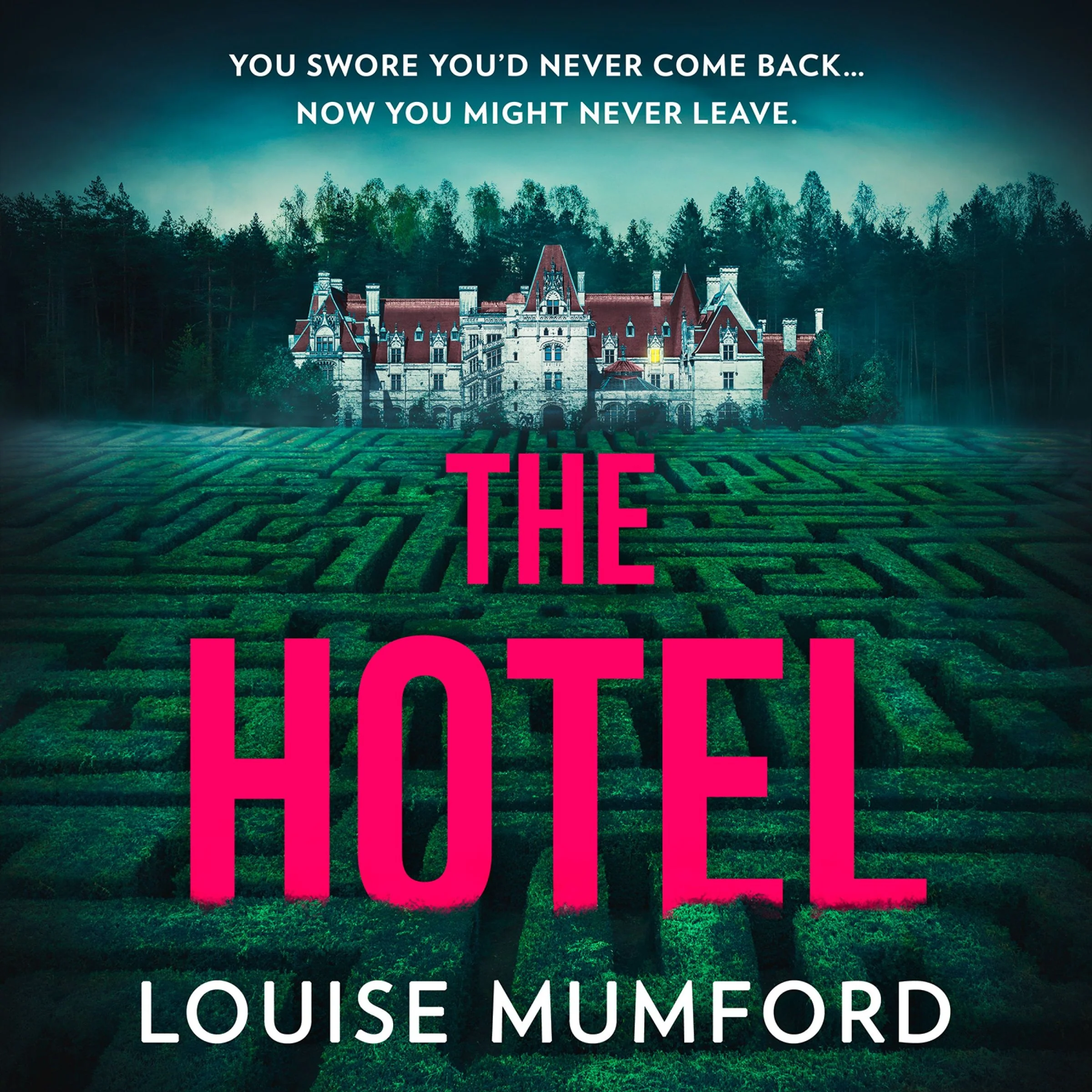 The Hotel - Image 3