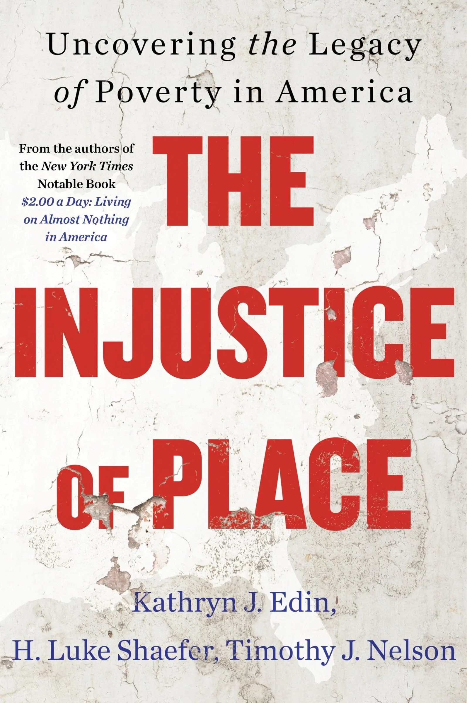 The Injustice of Place - Image 2