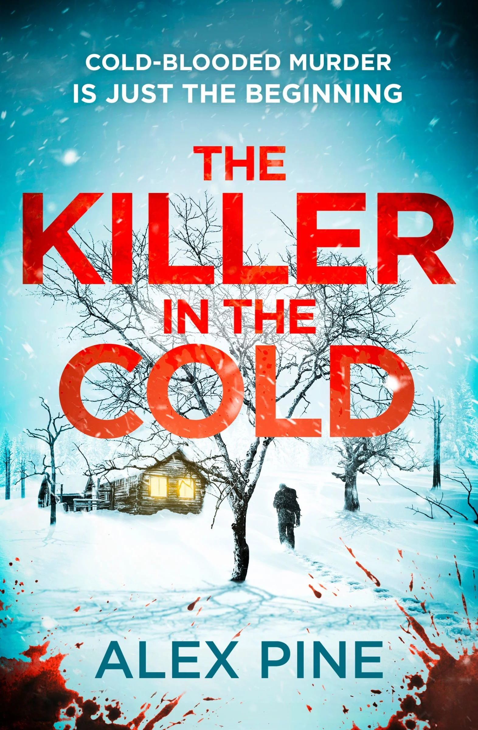 The Killer in the Cold (DI James Walker series, Book 5) - Image 4