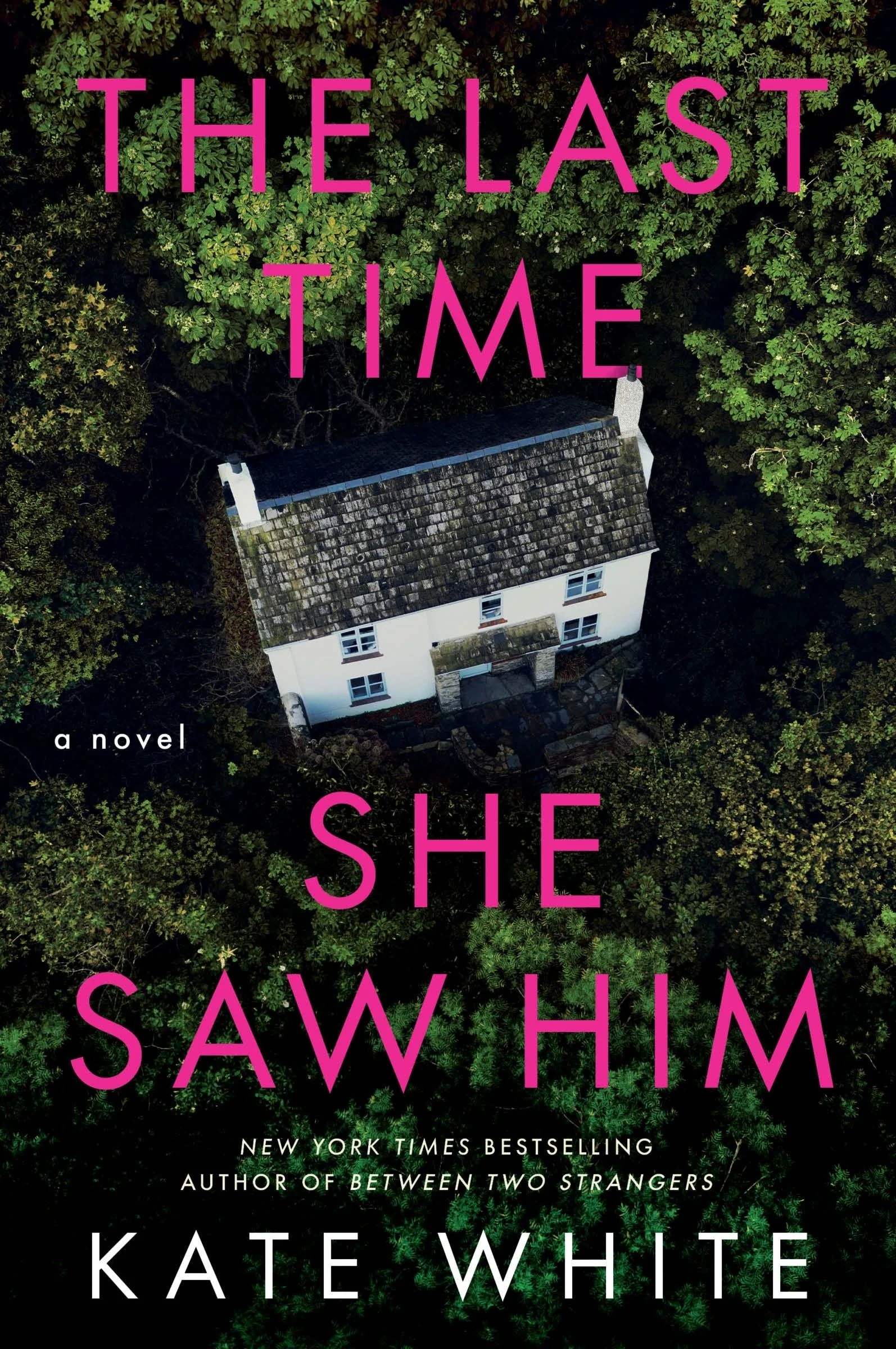 The Last Time She Saw Him - Image 5