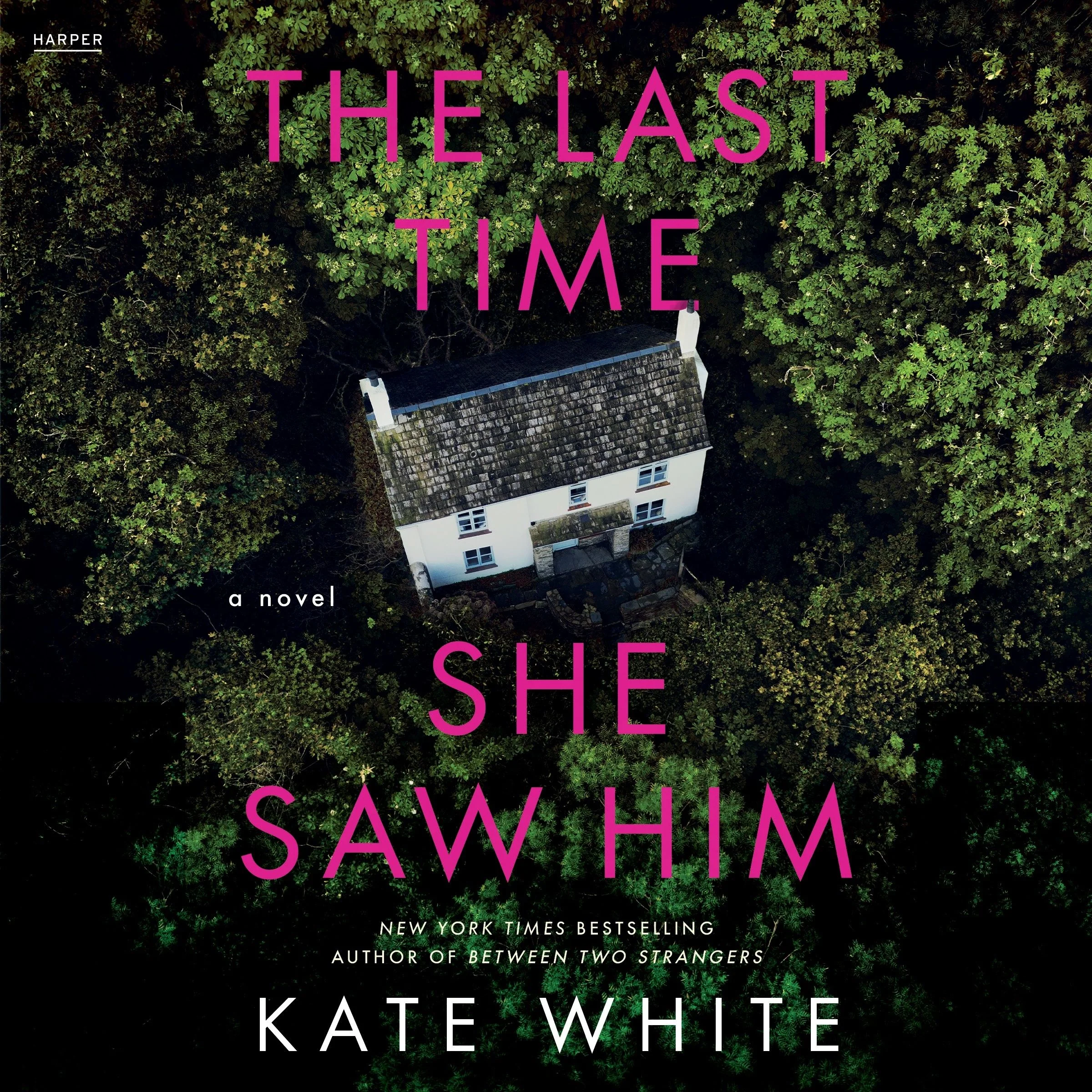 The Last Time She Saw Him - Image 6