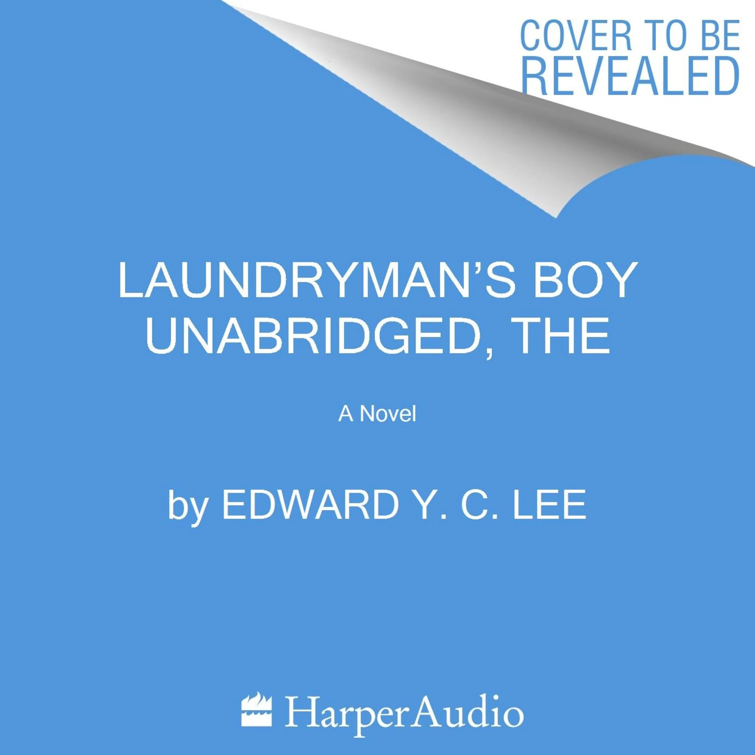 The Laundryman’s Boy - Image 2