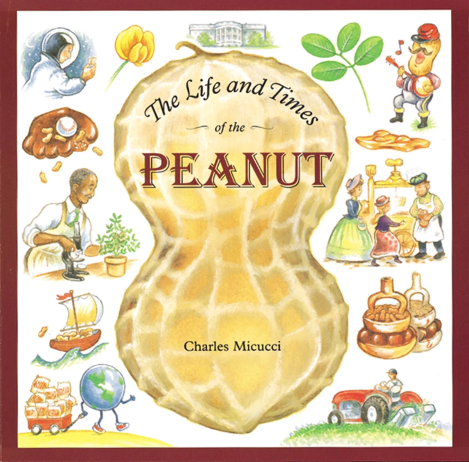 The Life and Times of the Peanut - Image 2