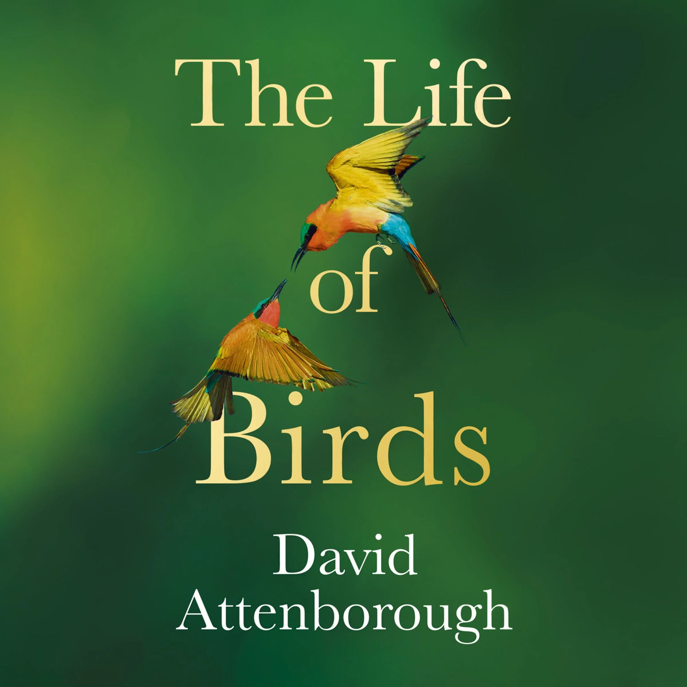 The Life of Birds - Image 4