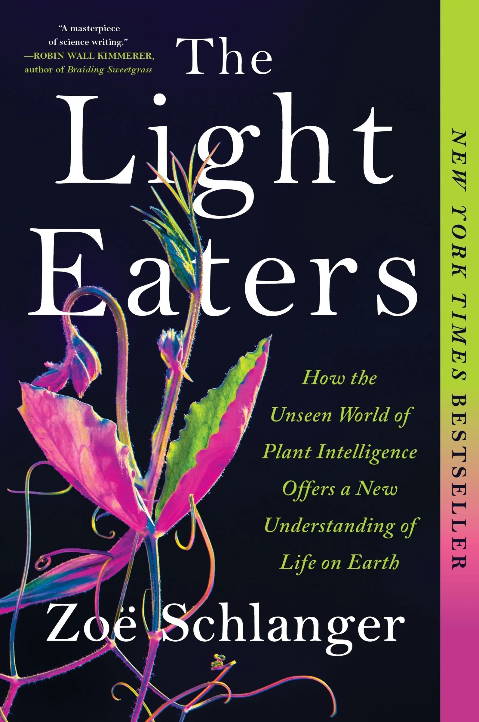 The Light Eaters - Image 3
