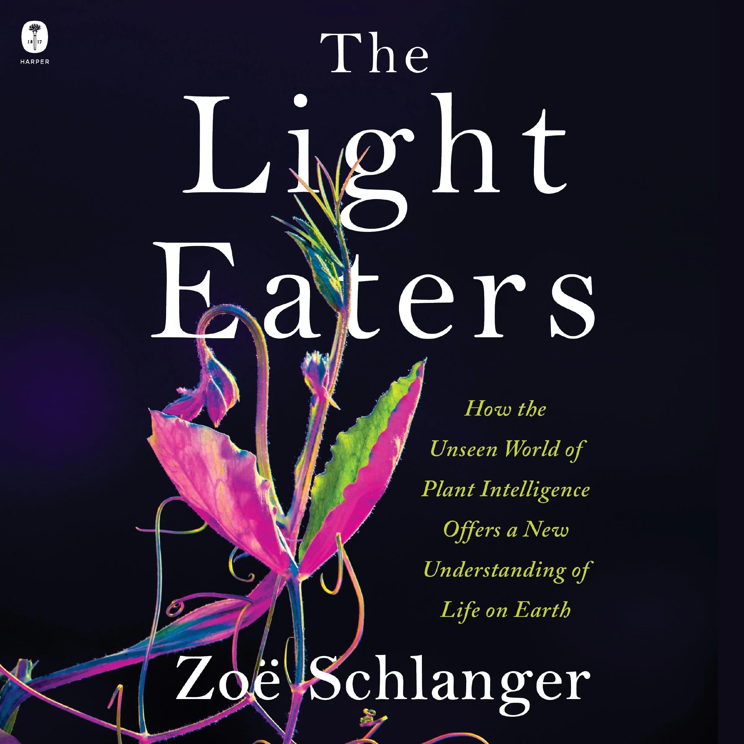 The Light Eaters - Image 5