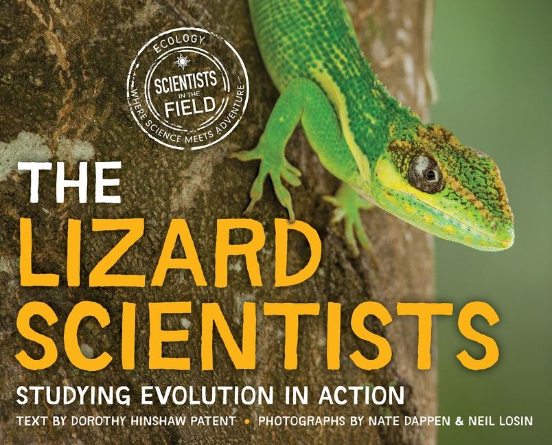 The Lizard Scientists - Image 2