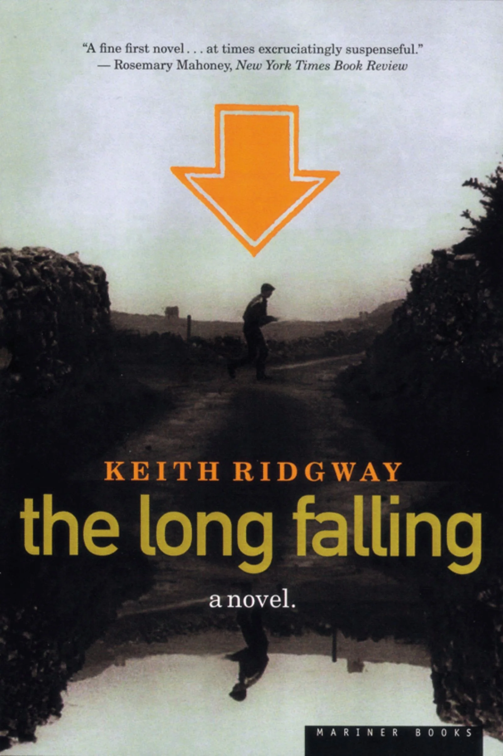 The Long Falling - Image 2