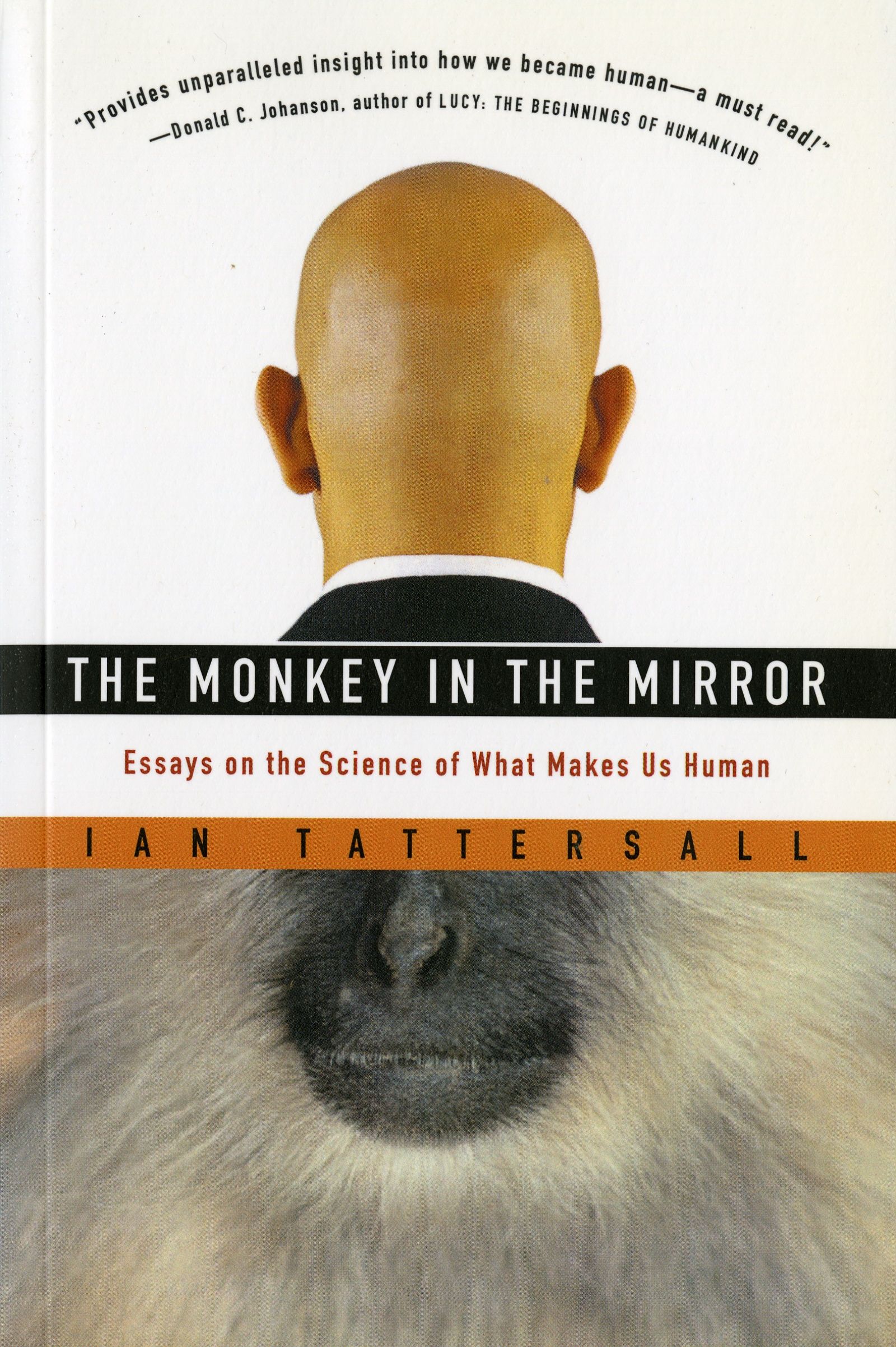 The Monkey In The Mirror - Image 3