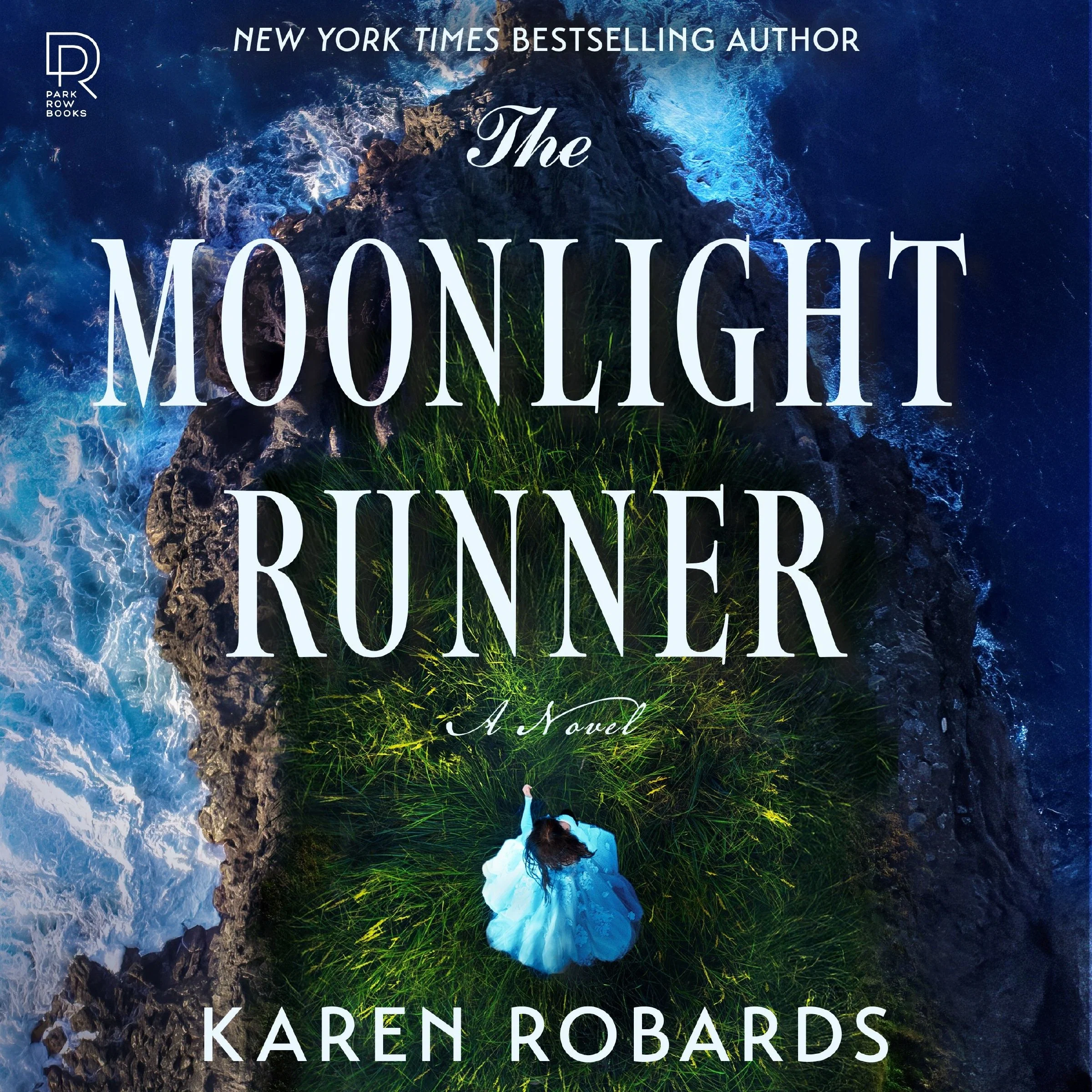 The Moonlight Runner - Image 4