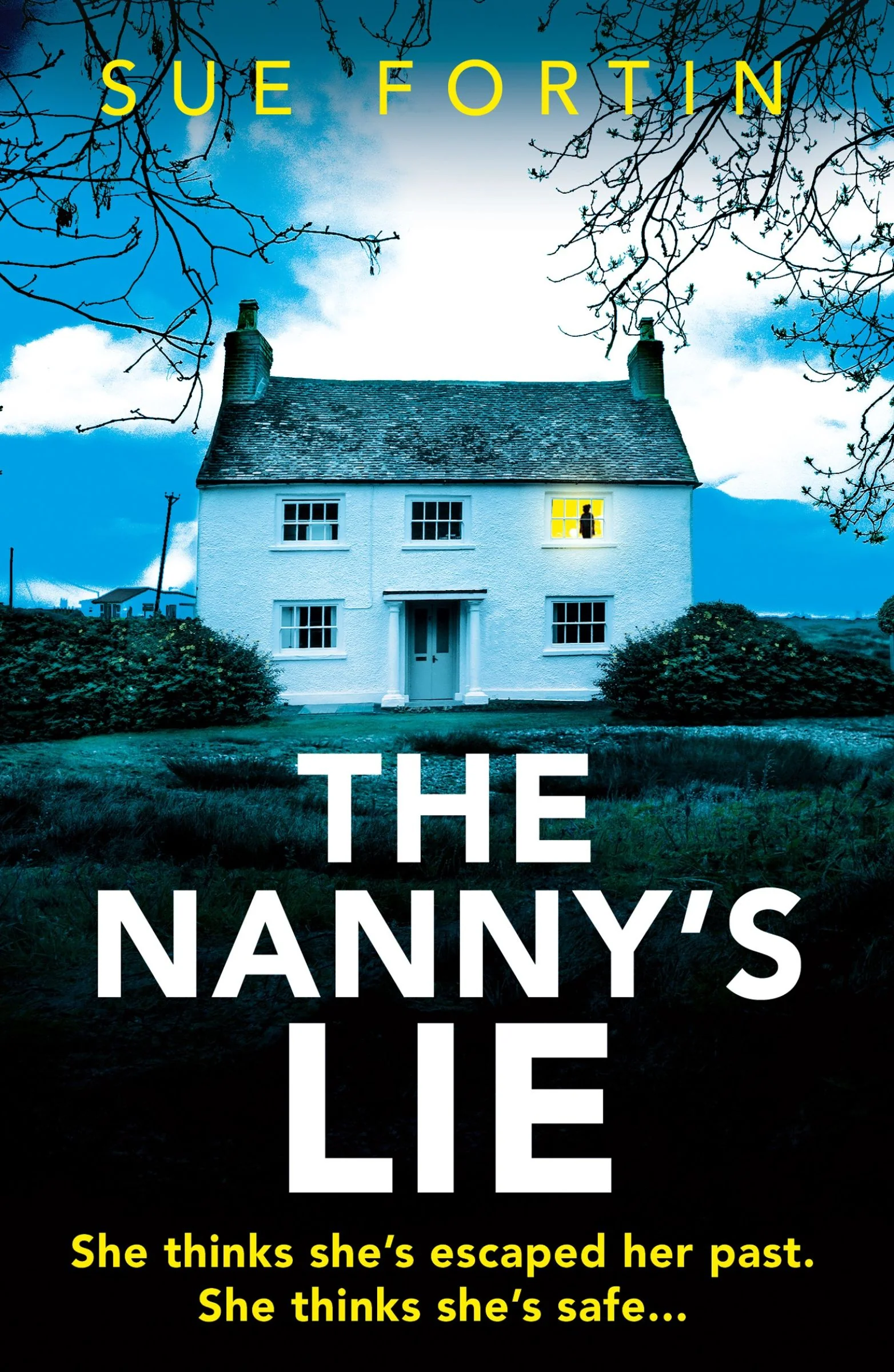 The Nanny’s Lie - Image 2