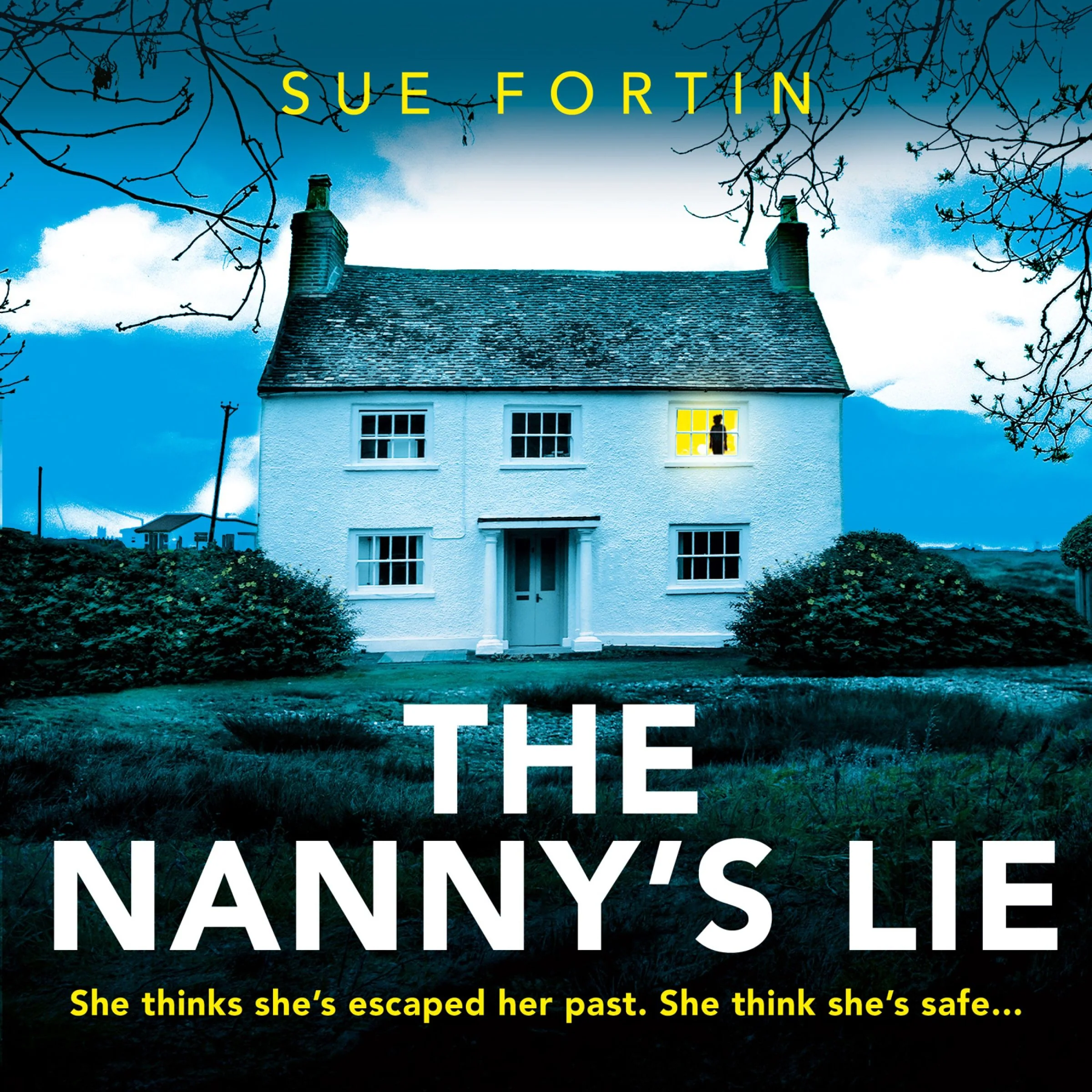 The Nanny’s Lie - Image 3