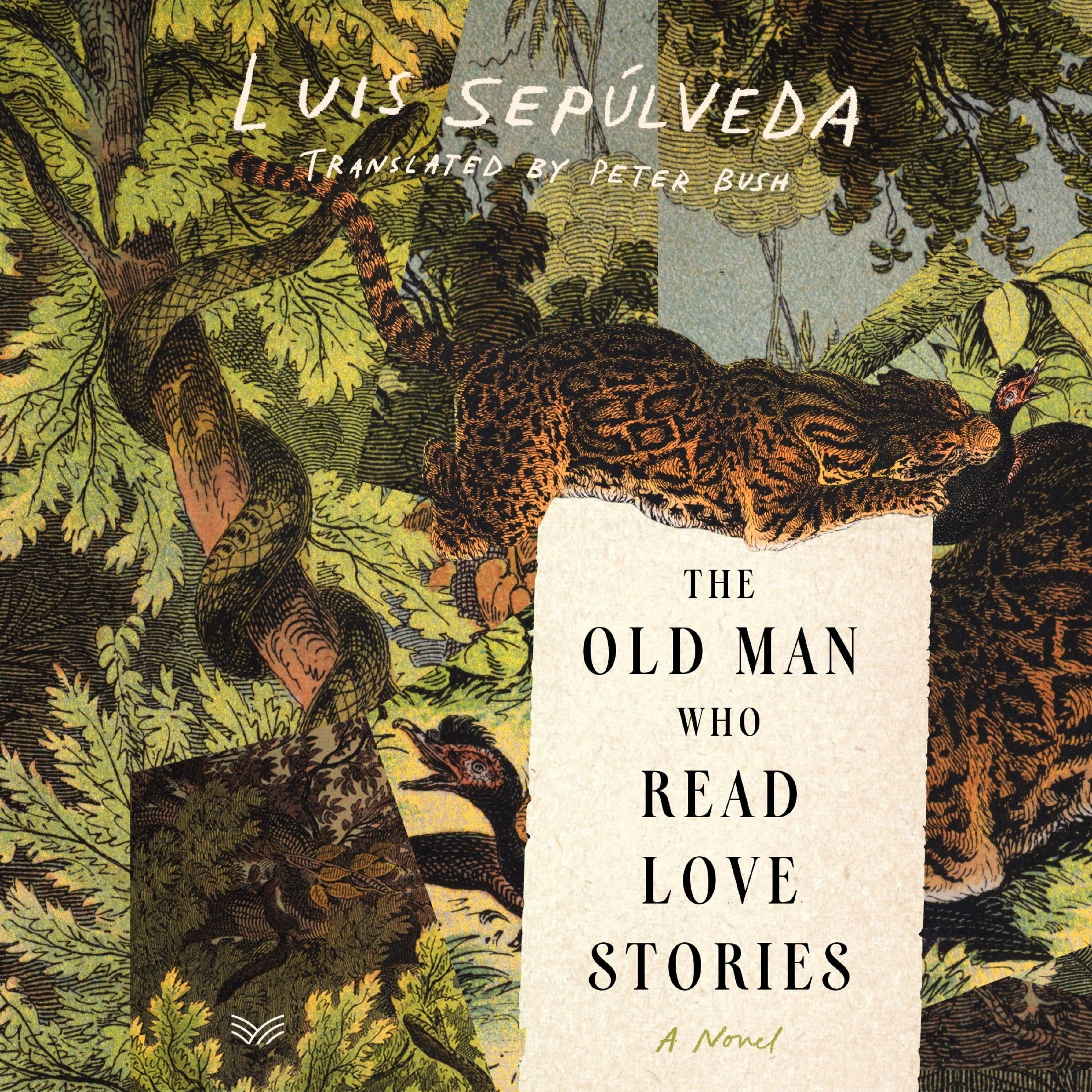 The Old Man Who Read Love Stories - Image 4