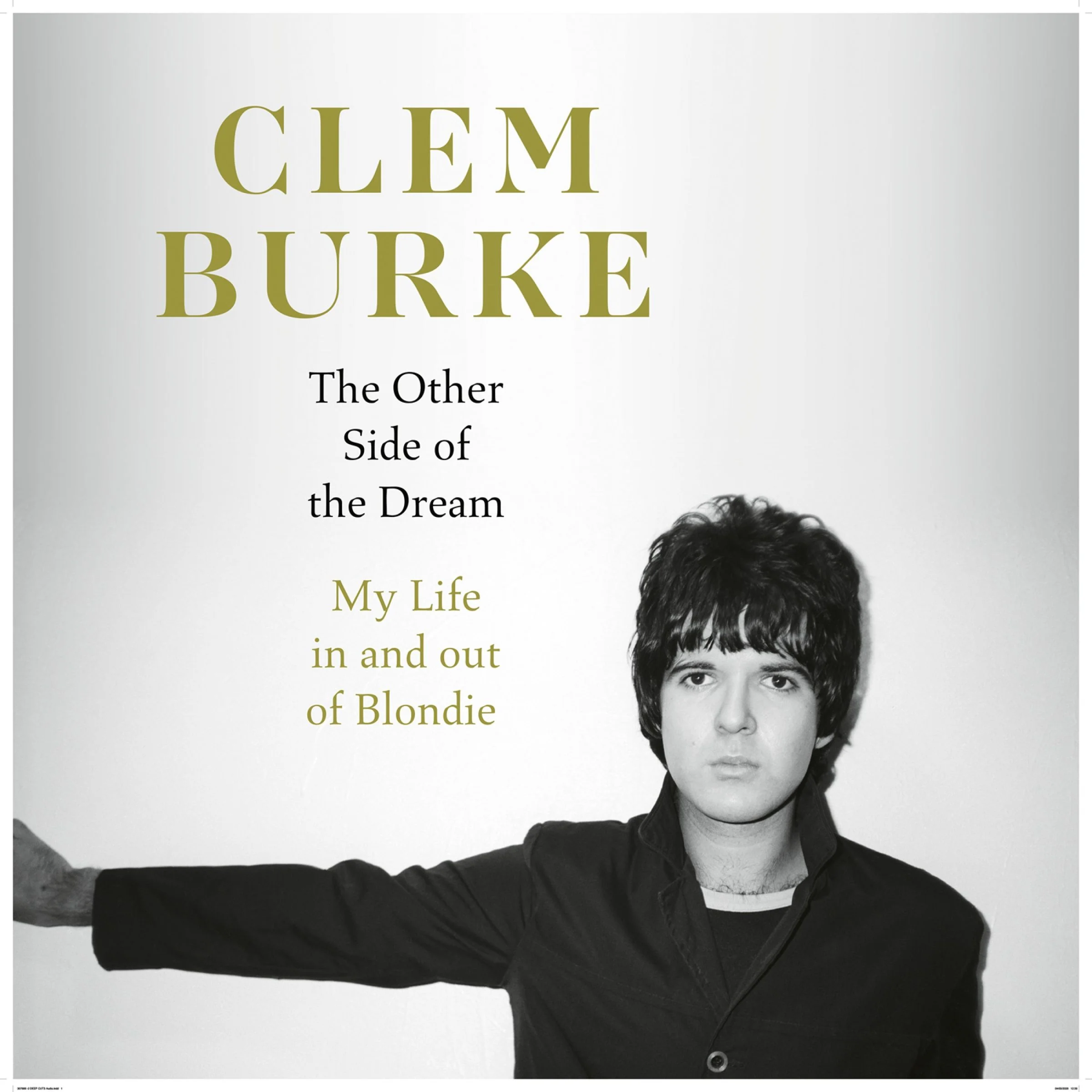The Other Side of the Dream: My Life In and Out of Blondie - Image 4