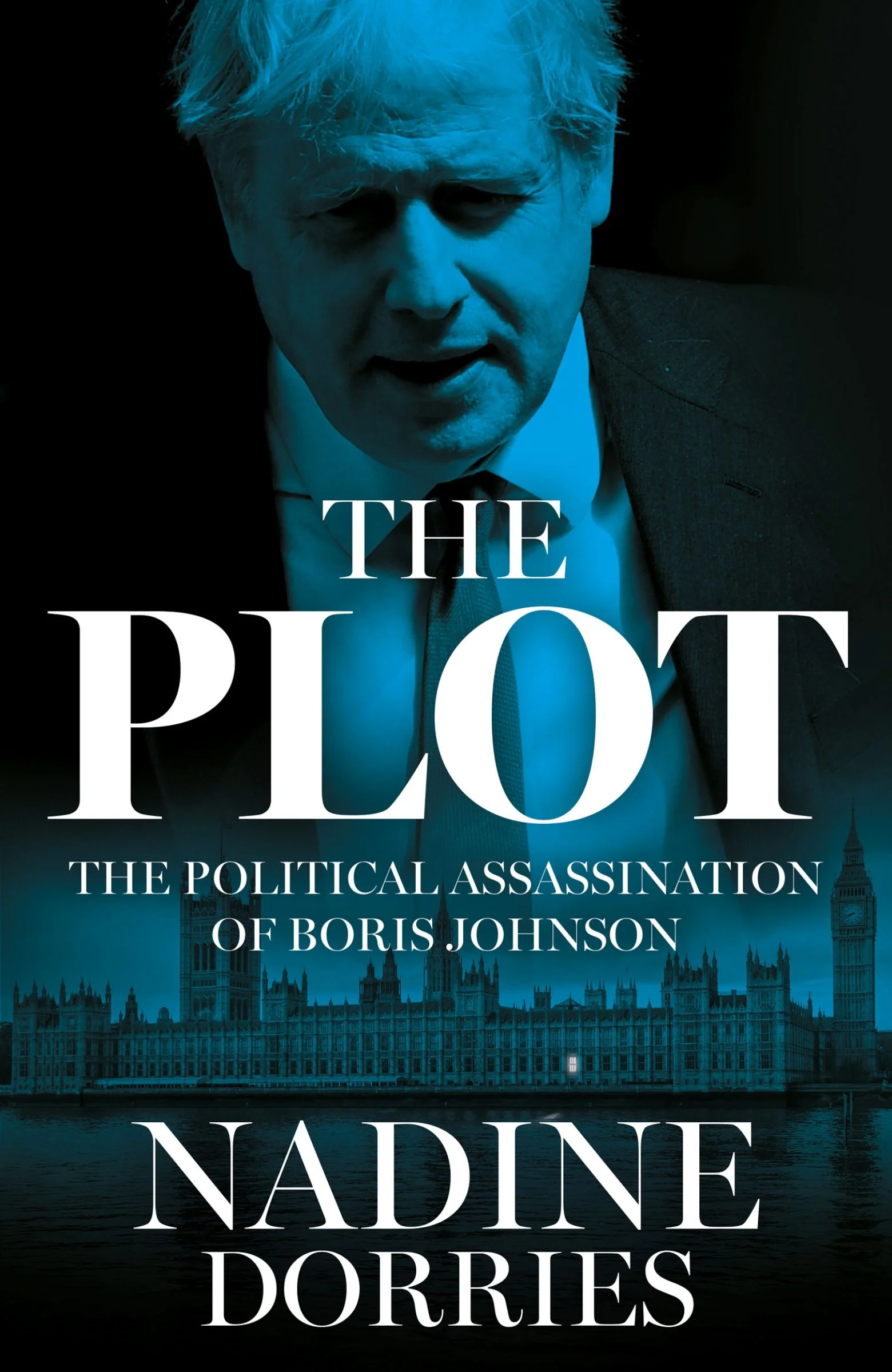 The Plot - Image 2