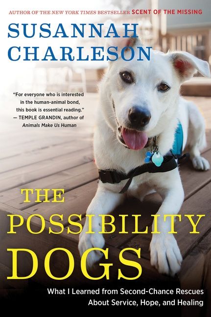 The Possibility Dogs - Image 2