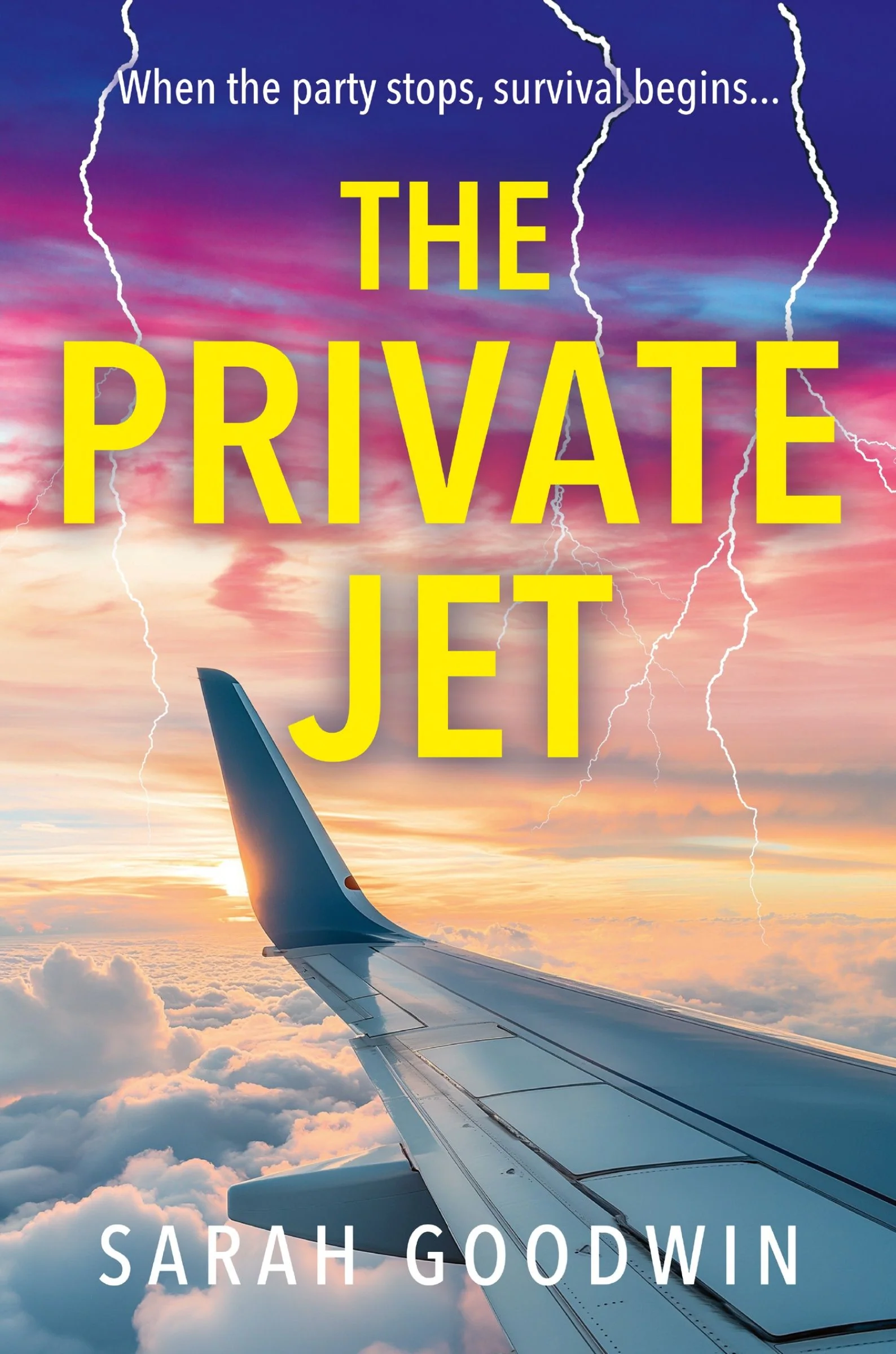 The Private Jet (The Thriller Collection, Book 7) - Image 3